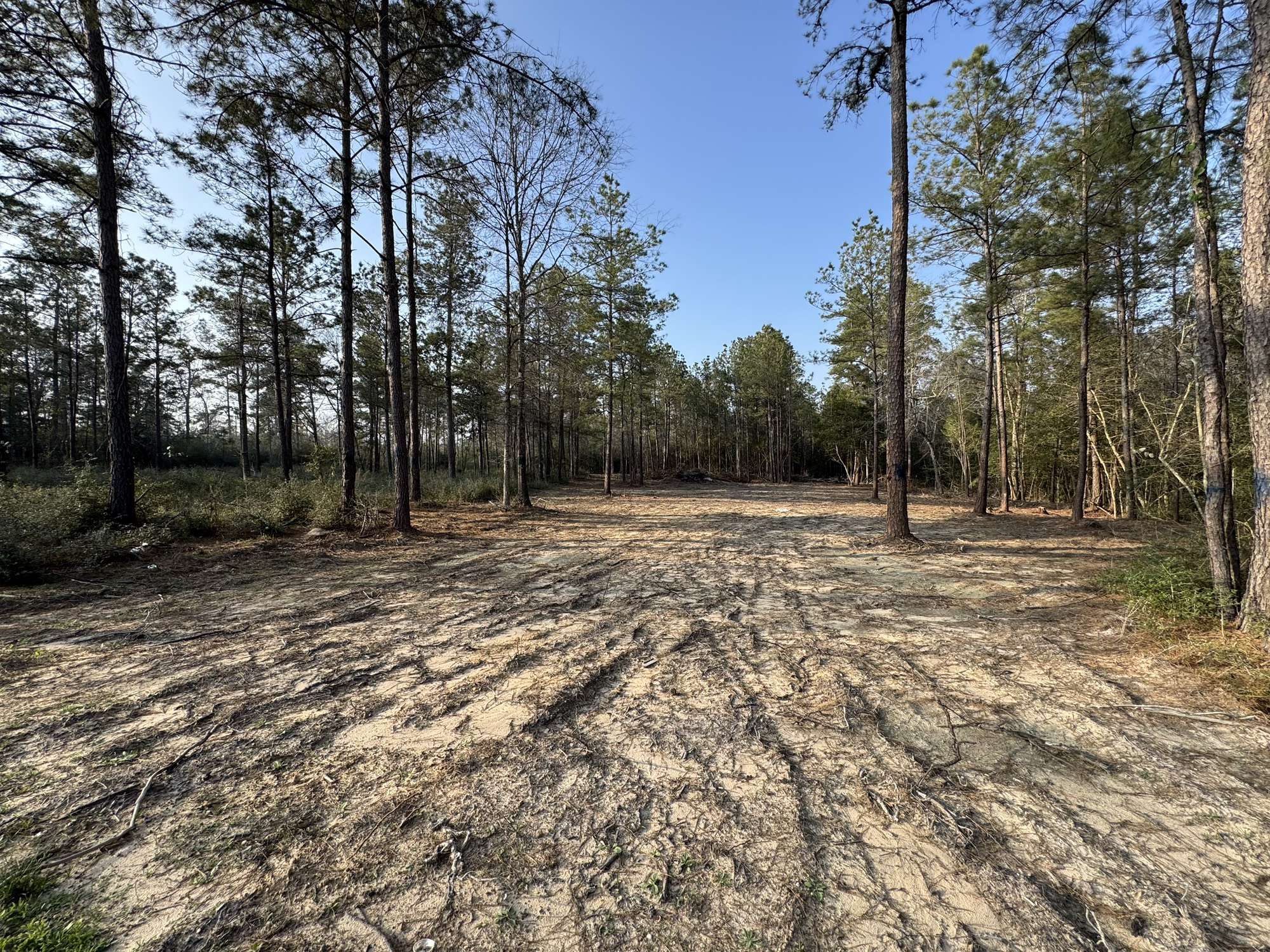 New Waverly, TX 77358,159 Gypsum RD