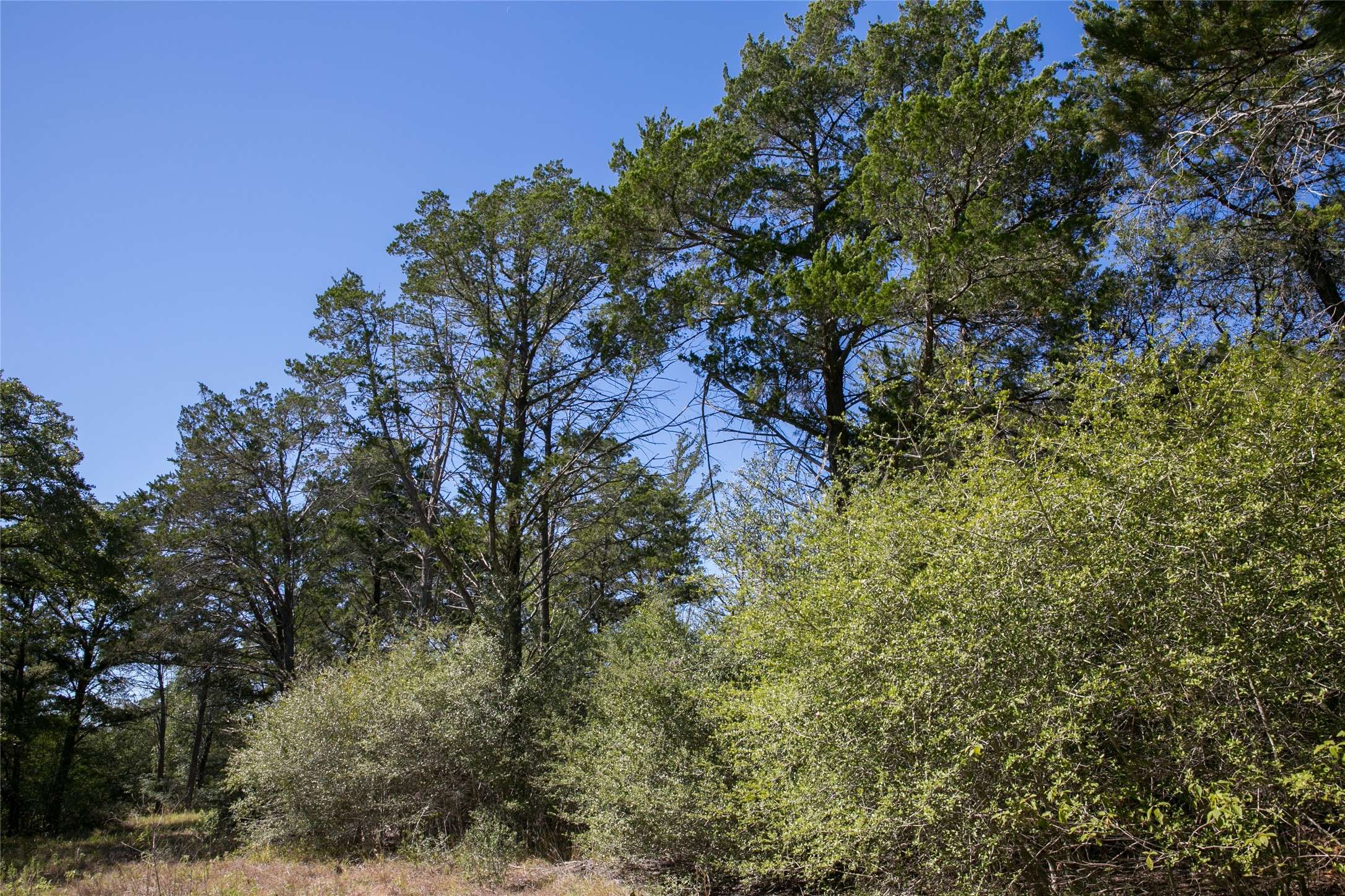 Burton, TX 77835,9040 FM 1948 W