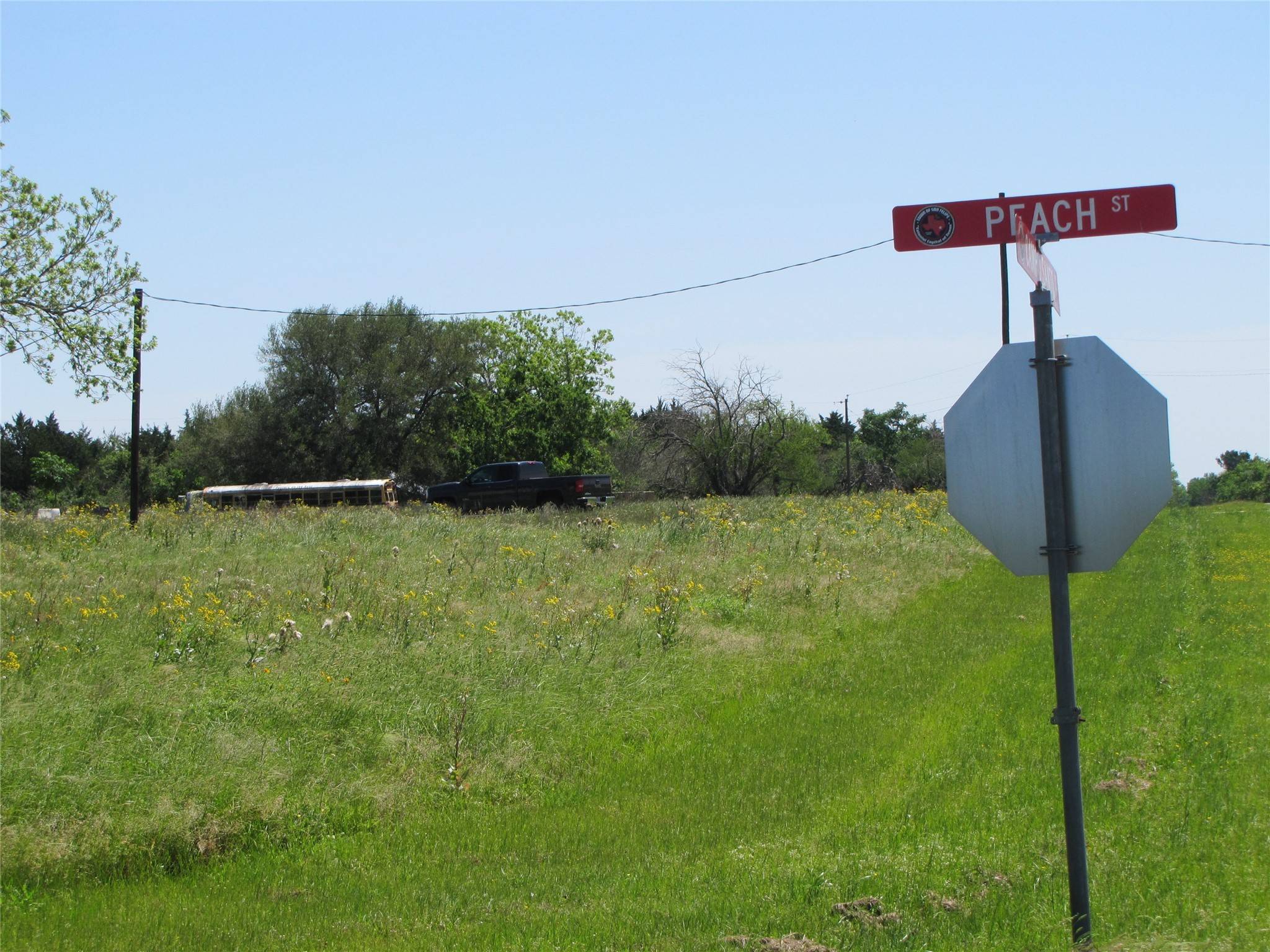 San Felipe, TX 77474,3991 Campo Santo ST