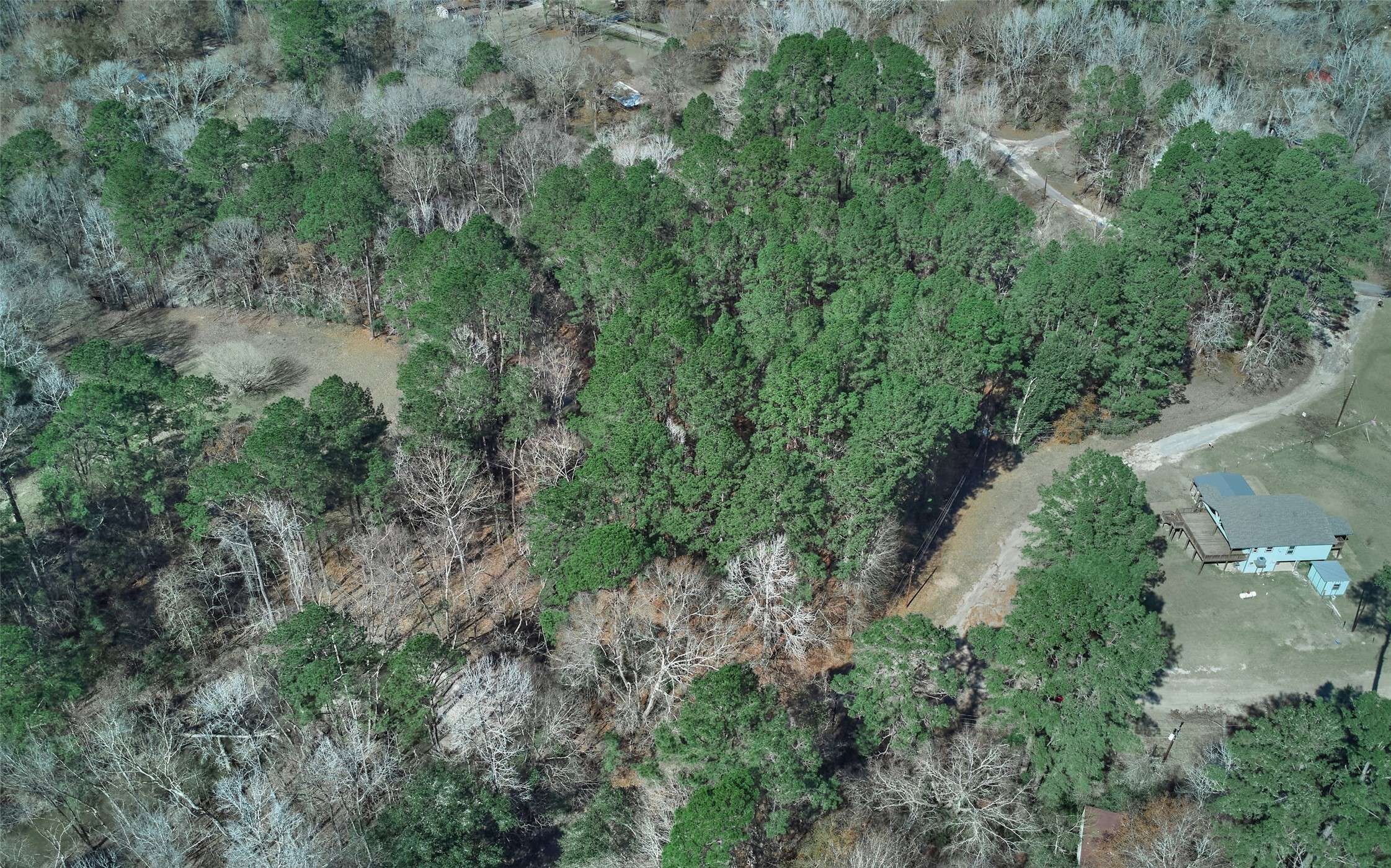 Onalaska, TX 77360,174 E Park RD