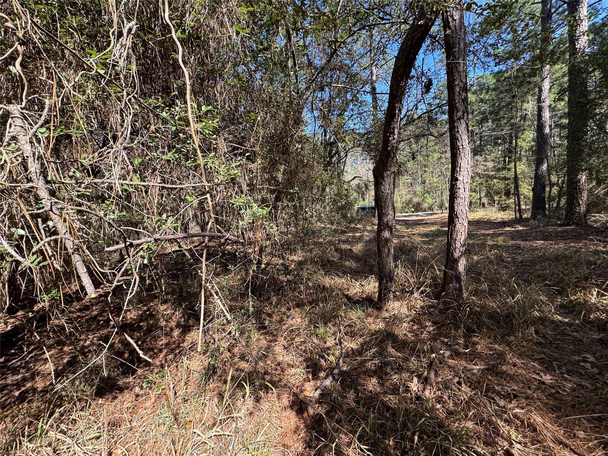 Onalaska, TX 77360,LOT 93 Whisperwood DR
