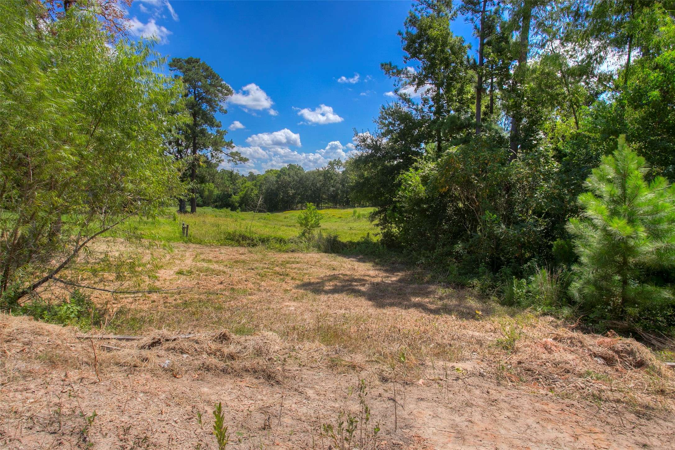 Huntsville, TX 77320,110 Allen RD