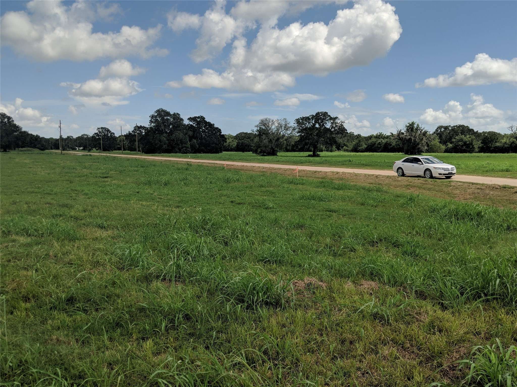 Angleton, TX 77515,429 Pony TRL