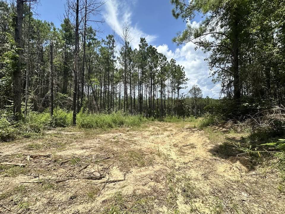Woodville, TX 75979,TBD County Road 4210