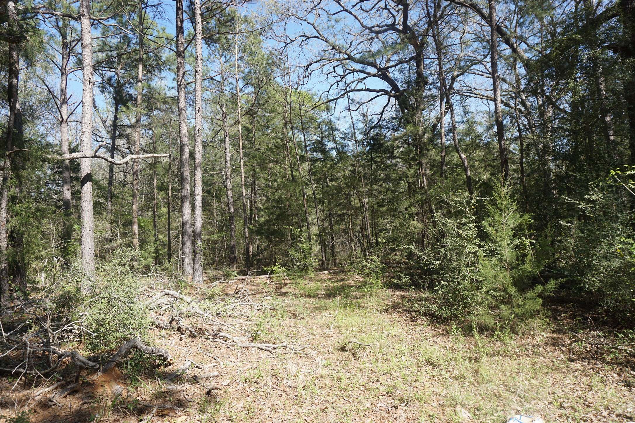 Grapeland, TX 75844,0 County Road 1870