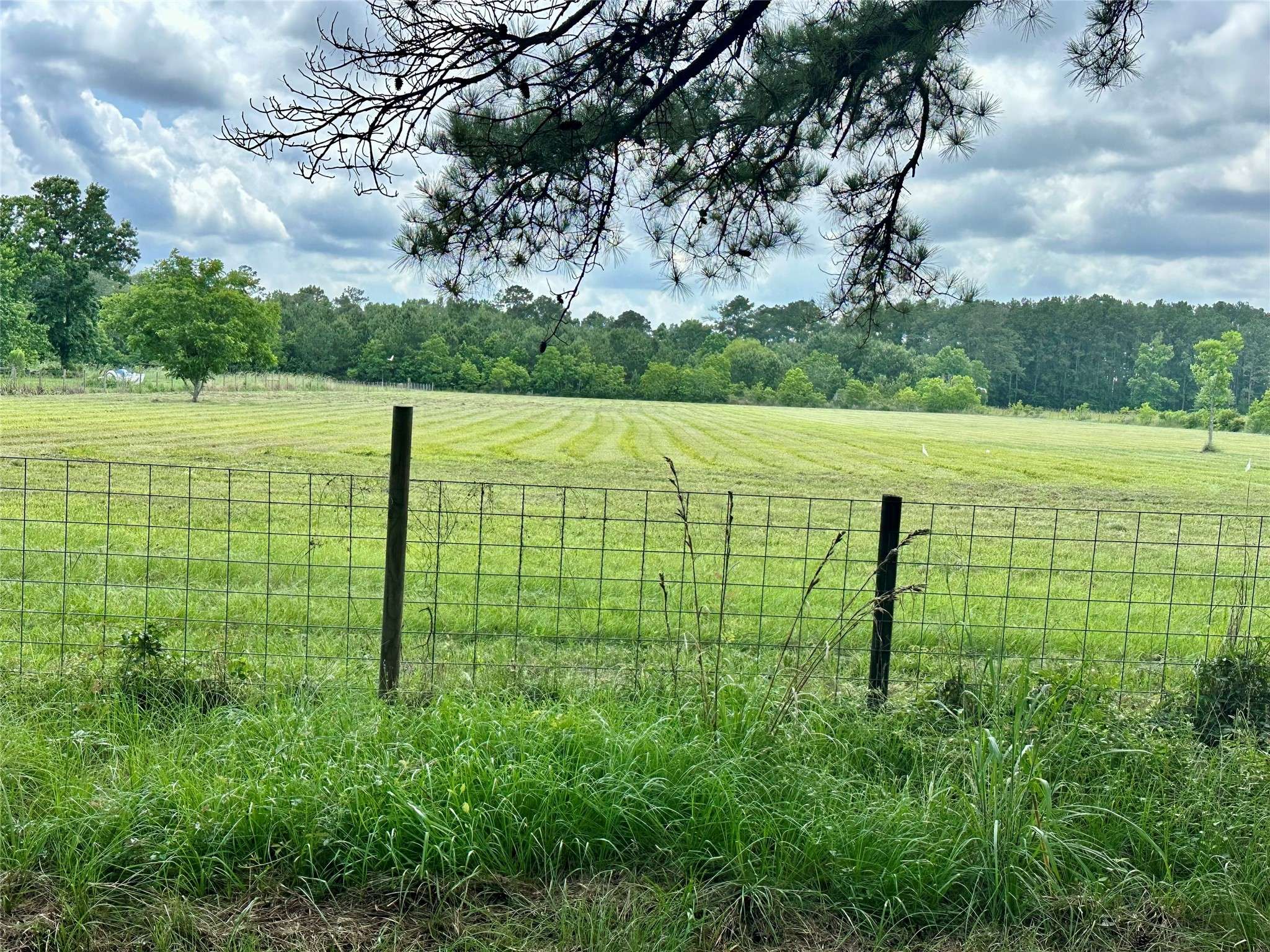 Sour Lake, TX 77659,16110 G W Jones Sr Rd RD