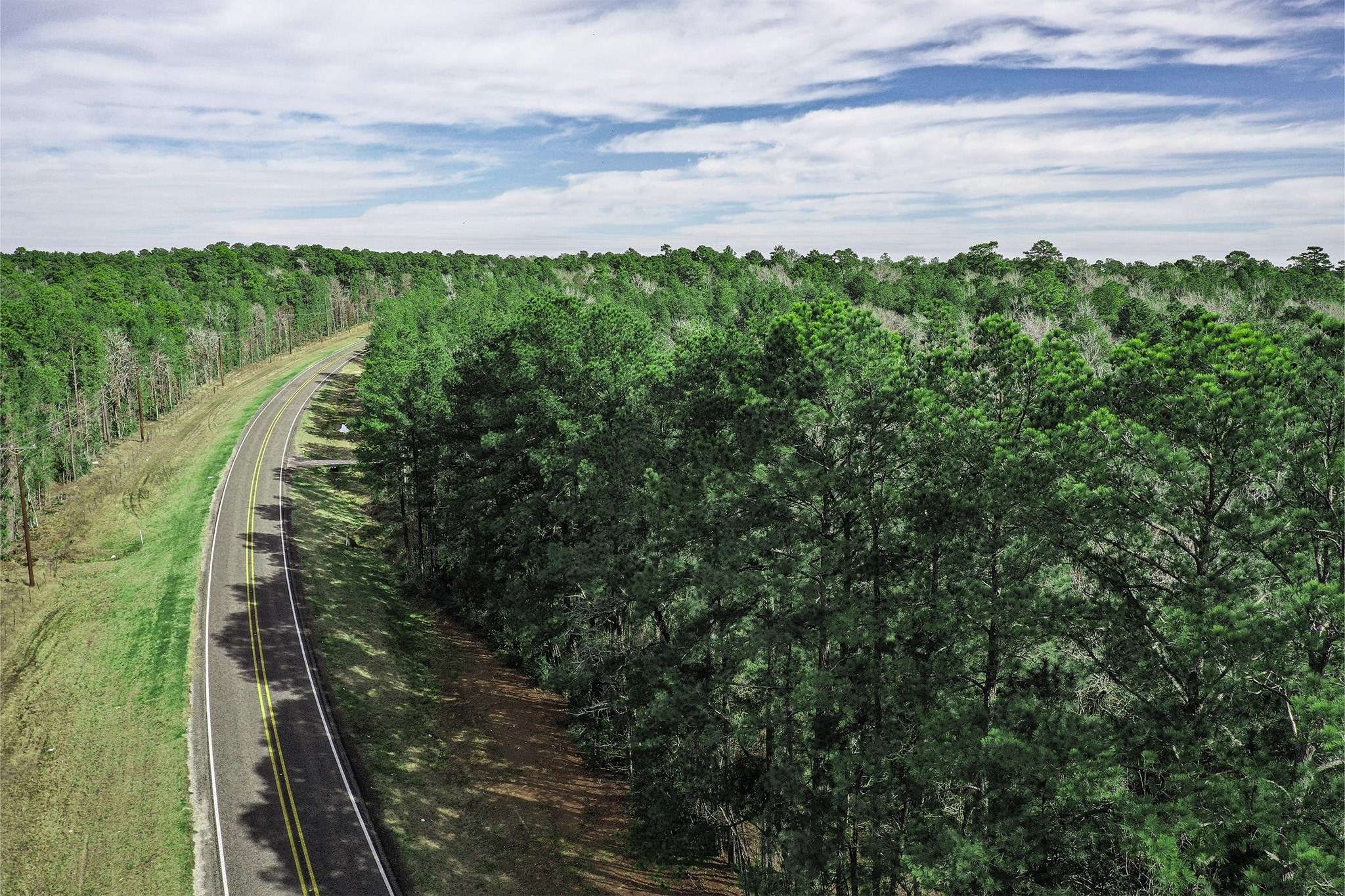 Huntsville, TX 77320,20 Ac FM 980
