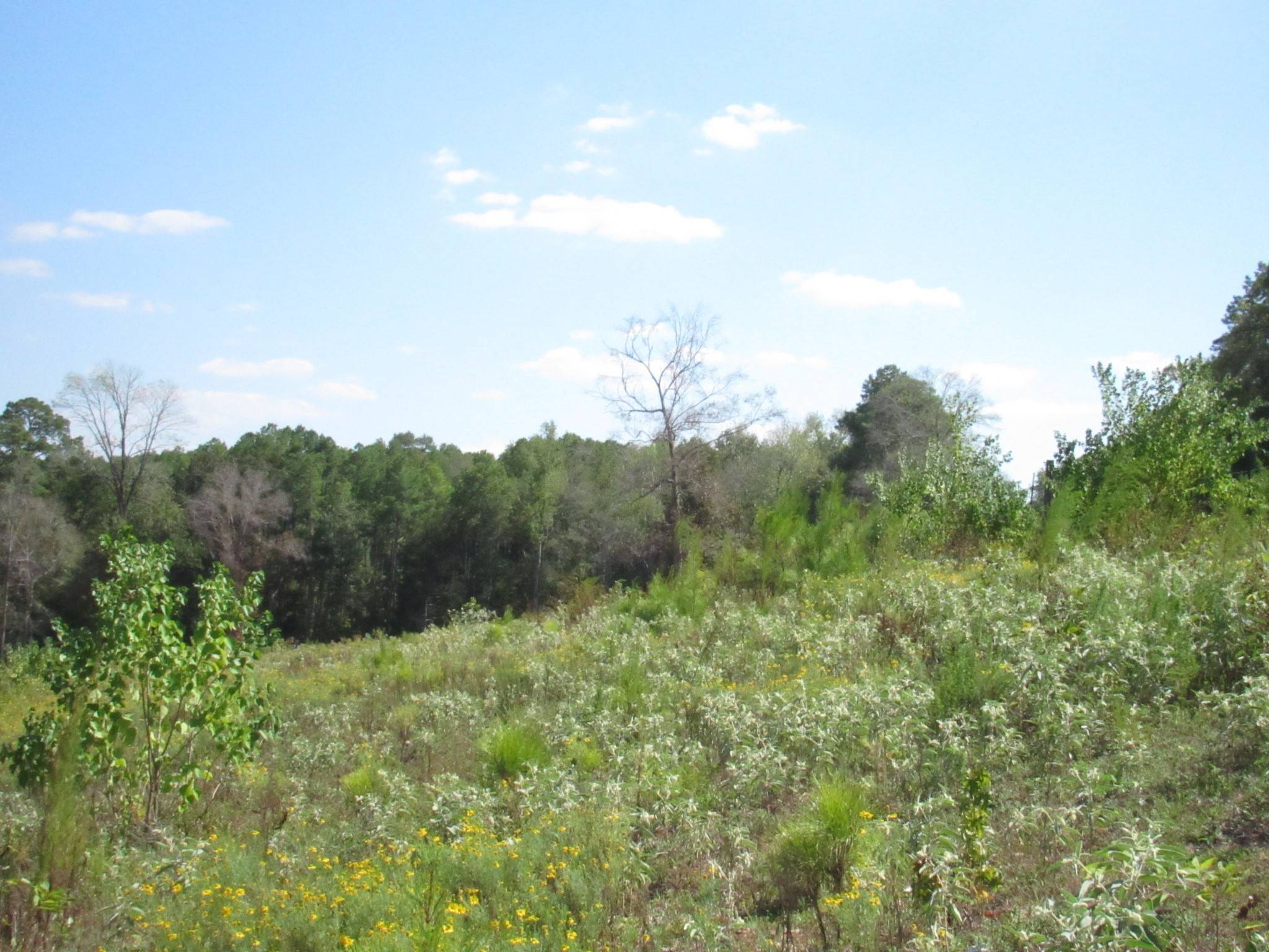 Woodville, TX 75979,0025 FM 256 N