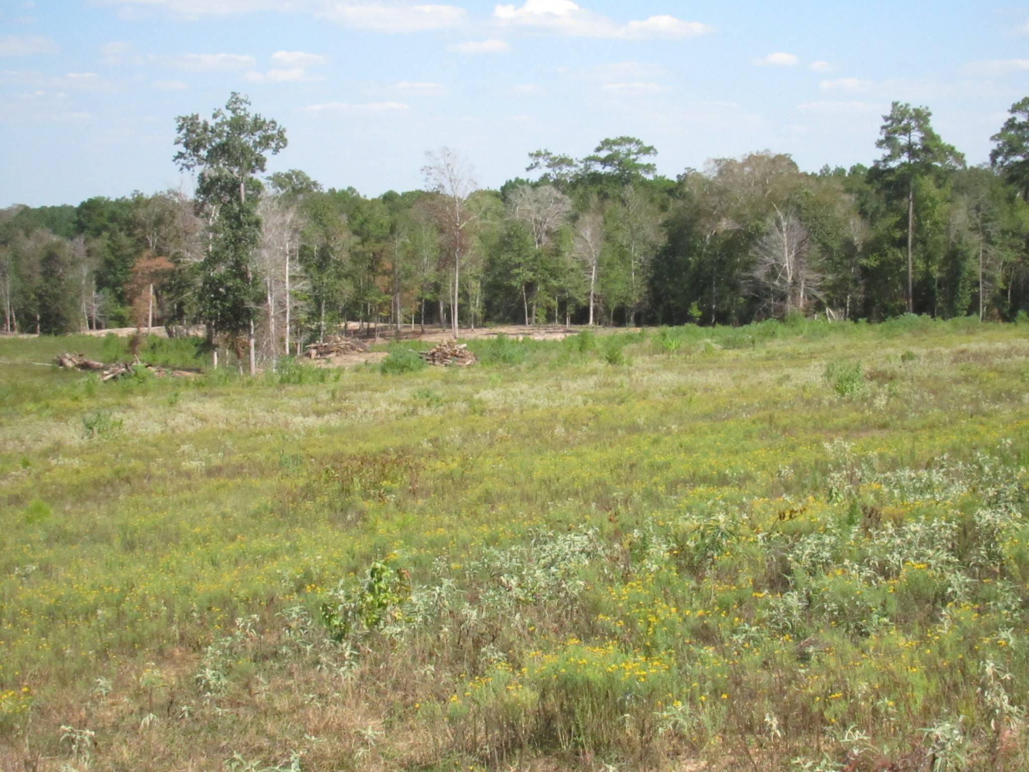 Woodville, TX 75979,0025 FM 256 N