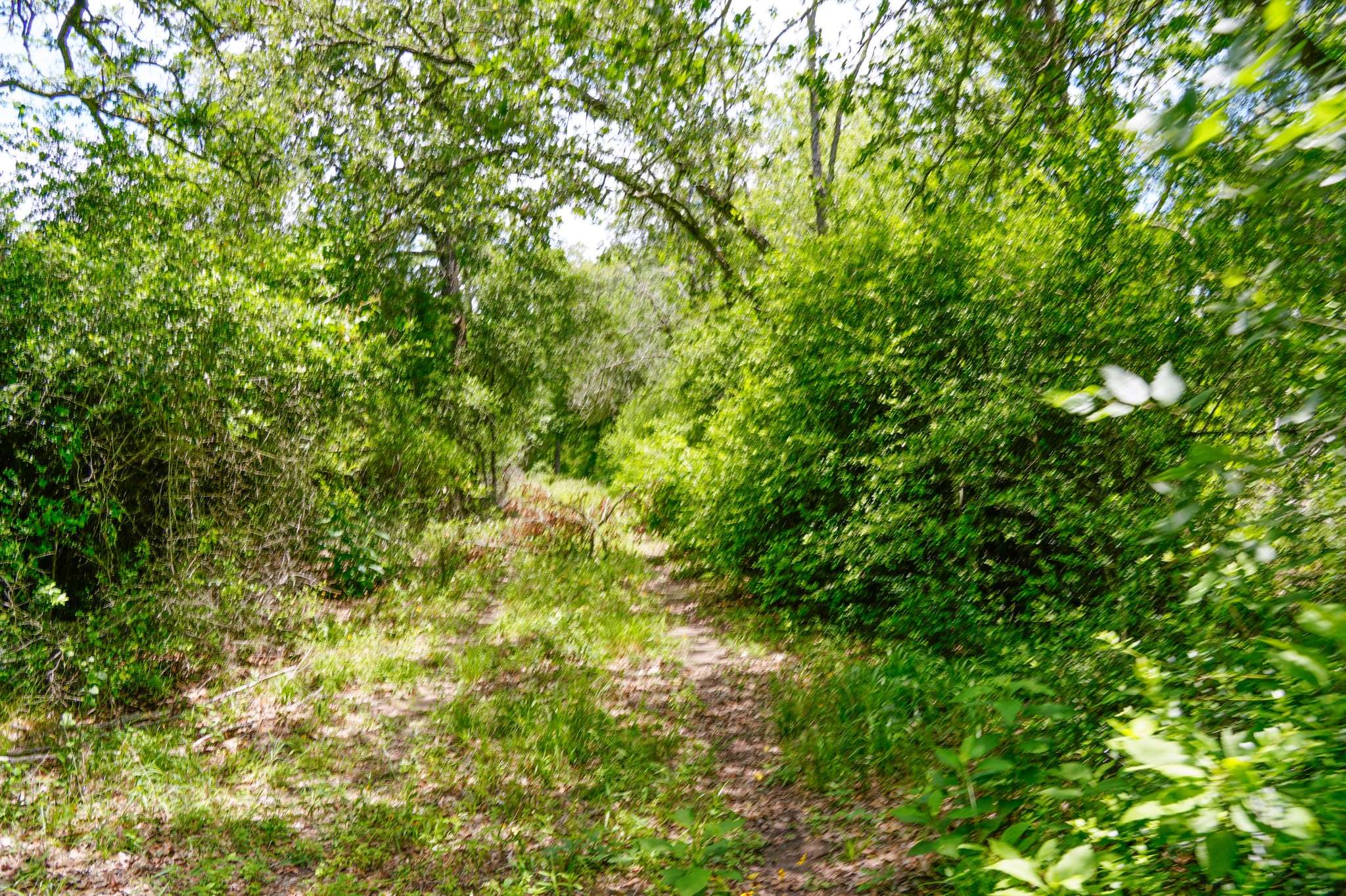 La Grange, TX 78945,tbd Farm To Market 3233