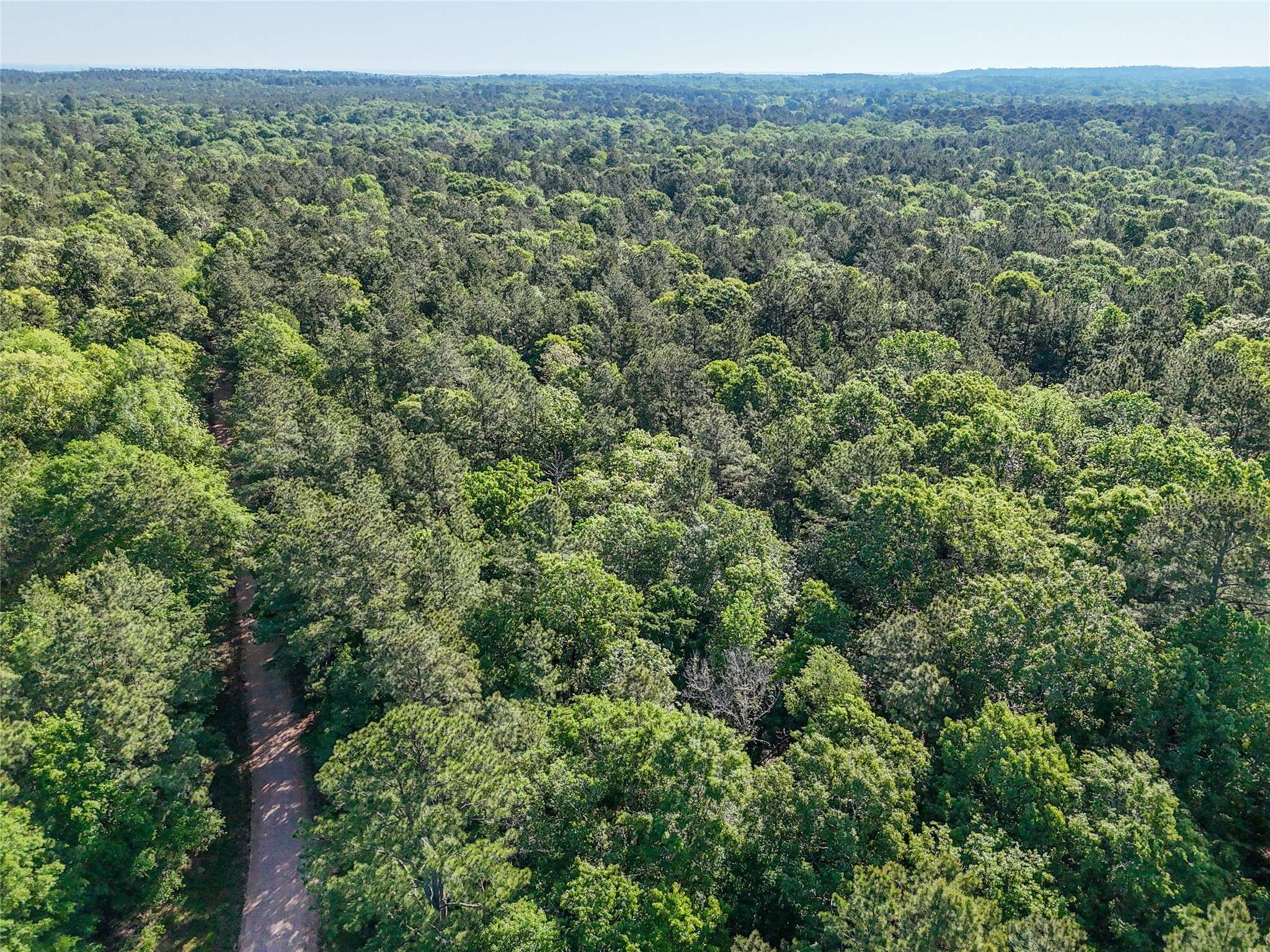 Coldspring, TX 77331,000 Trail Ride RD
