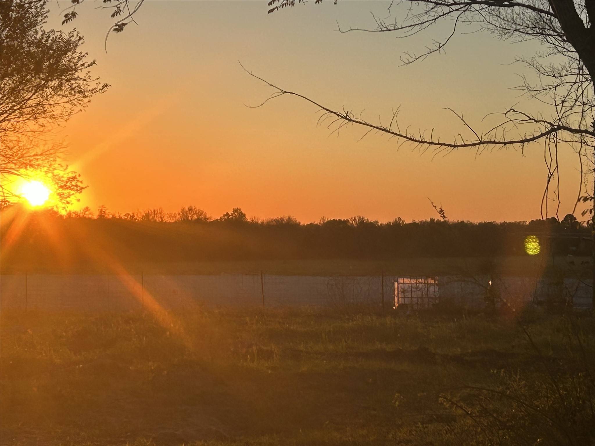 Navasota, TX 77868,10012 County Road 413