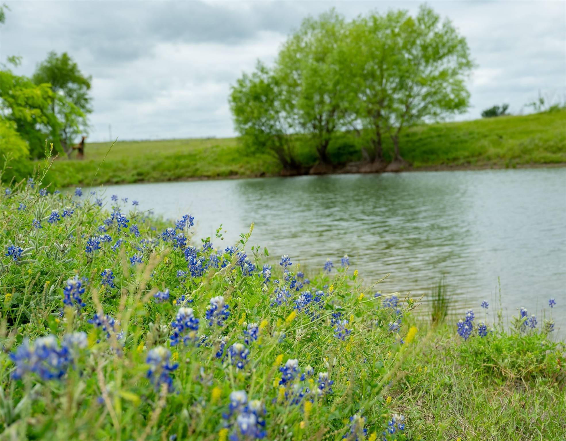 Coupland, TX 78615,1716 B County Road 469