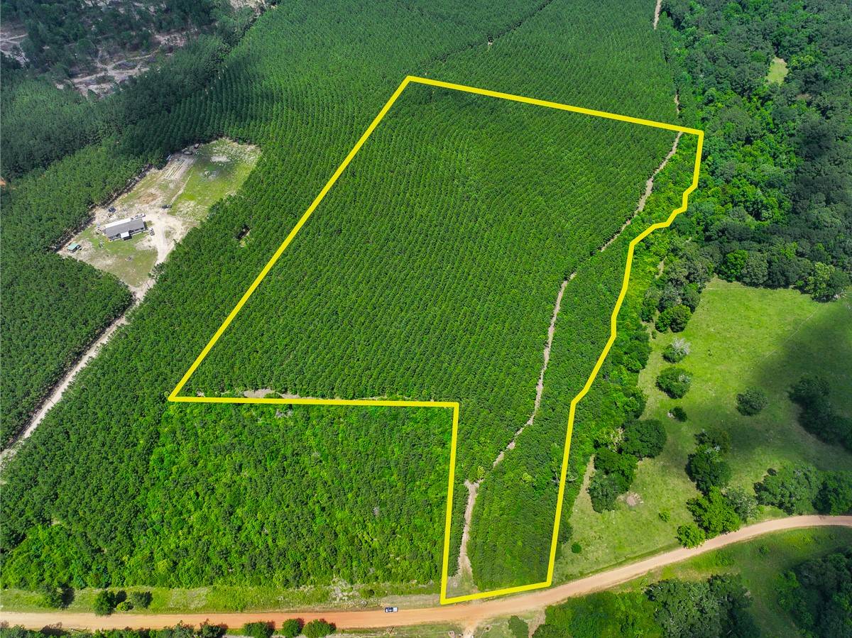 Livingston, TX 77351,20.1 Ac Menard Chapel Road