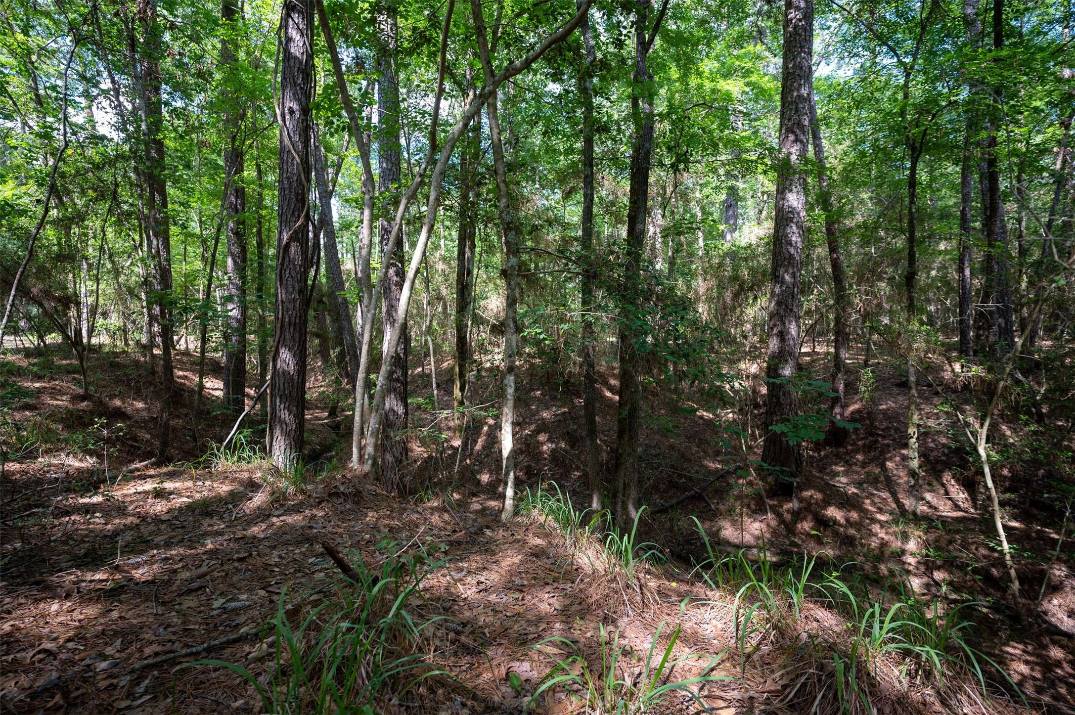 Woodville, TX 75979,tbd United States Hwy 190 E