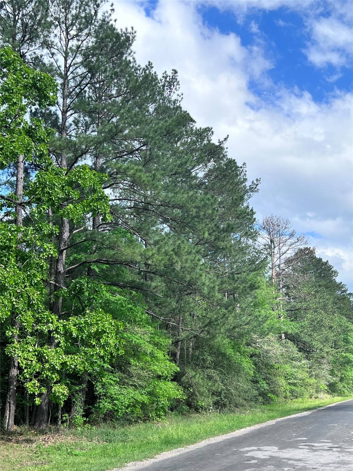 Livingston, TX 77351,TBD Mangum Road RD