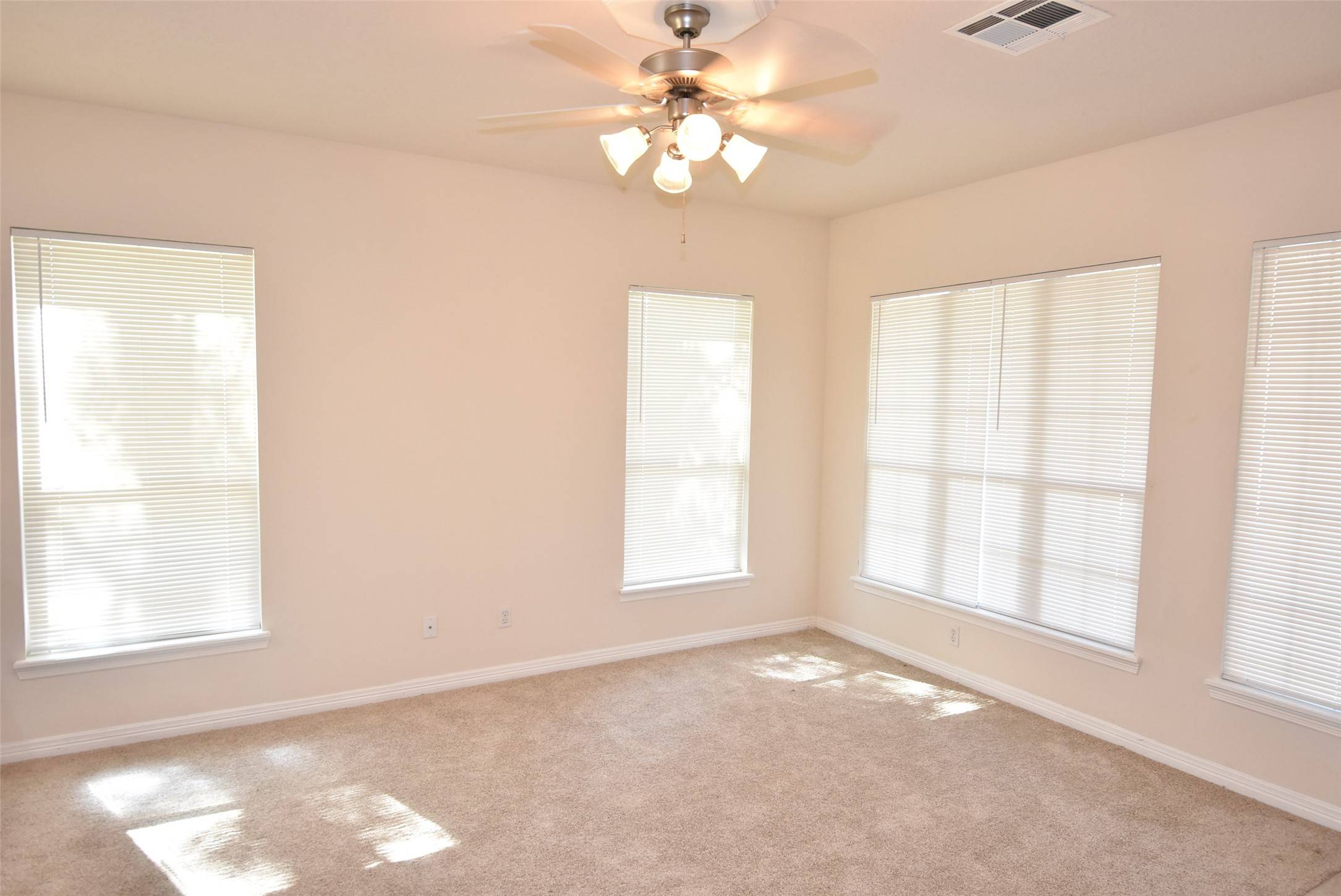 Willis, TX 77318,12946 Centaurus CT