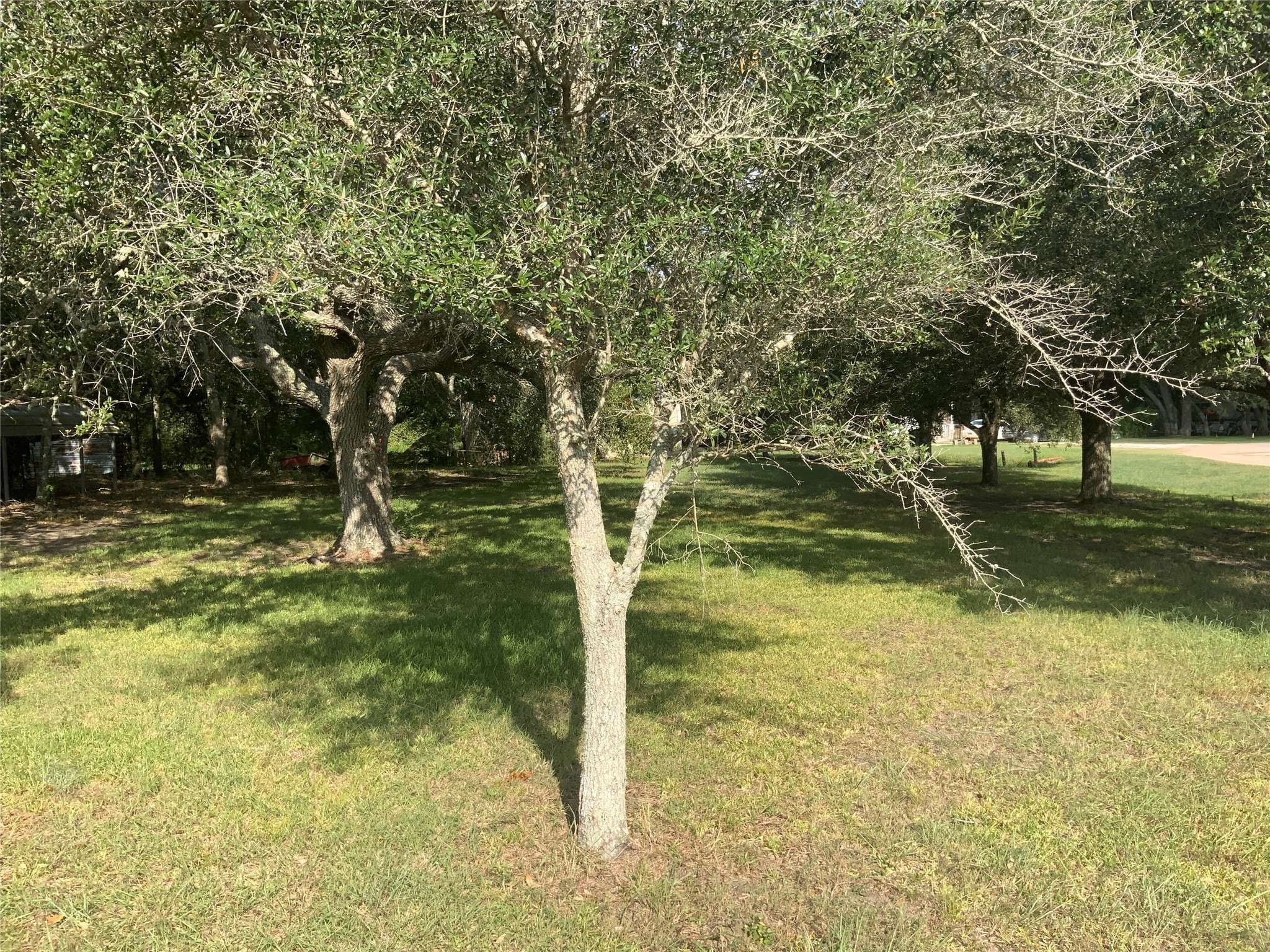 Palacios, TX 77465,Lot 1487&1488 Oak ST