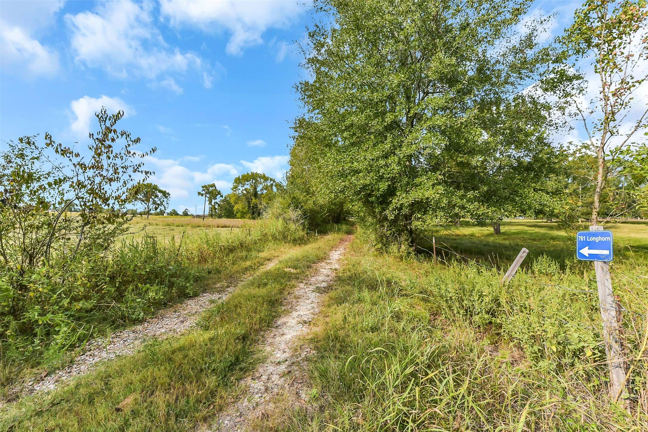 Livingston, TX 77351,761 Longhorn DR E