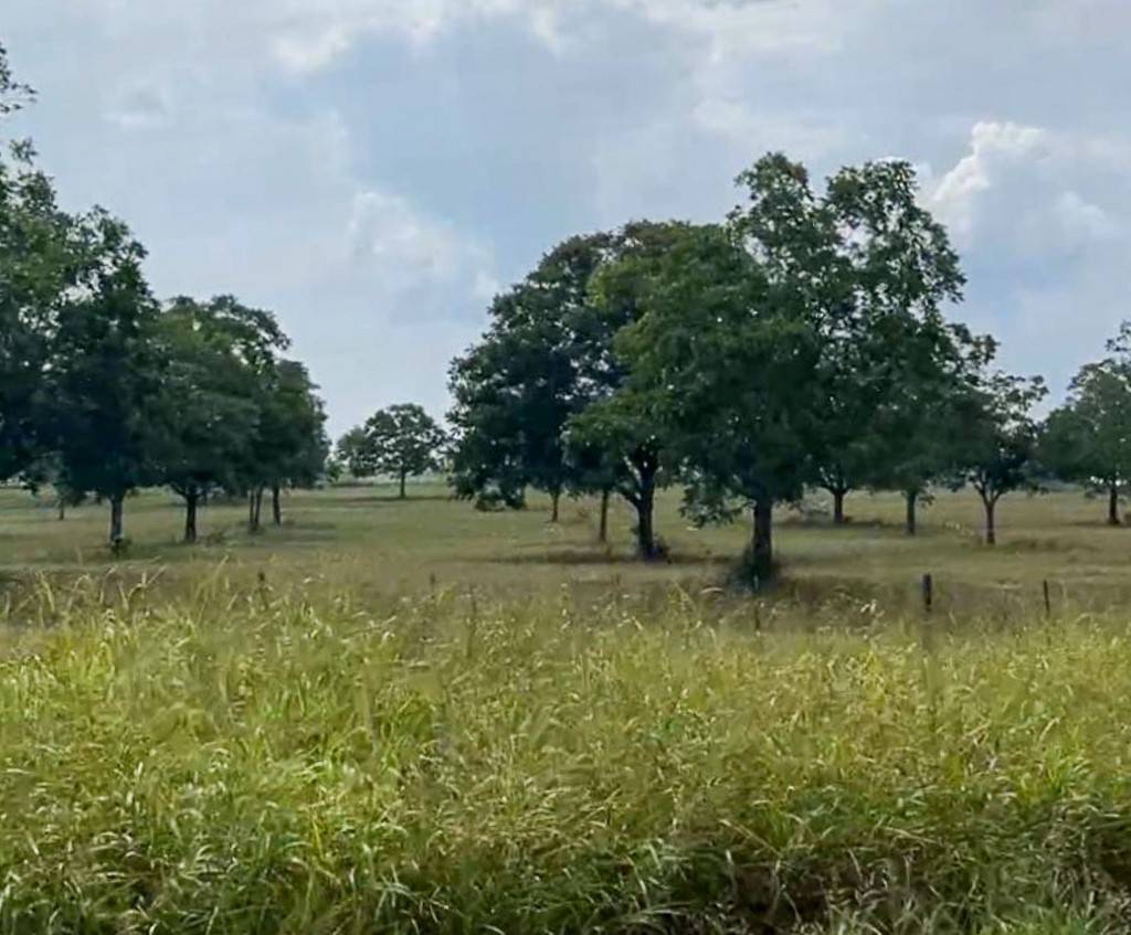 Midway, TX 75852,Tract #1 Hwy 21 E