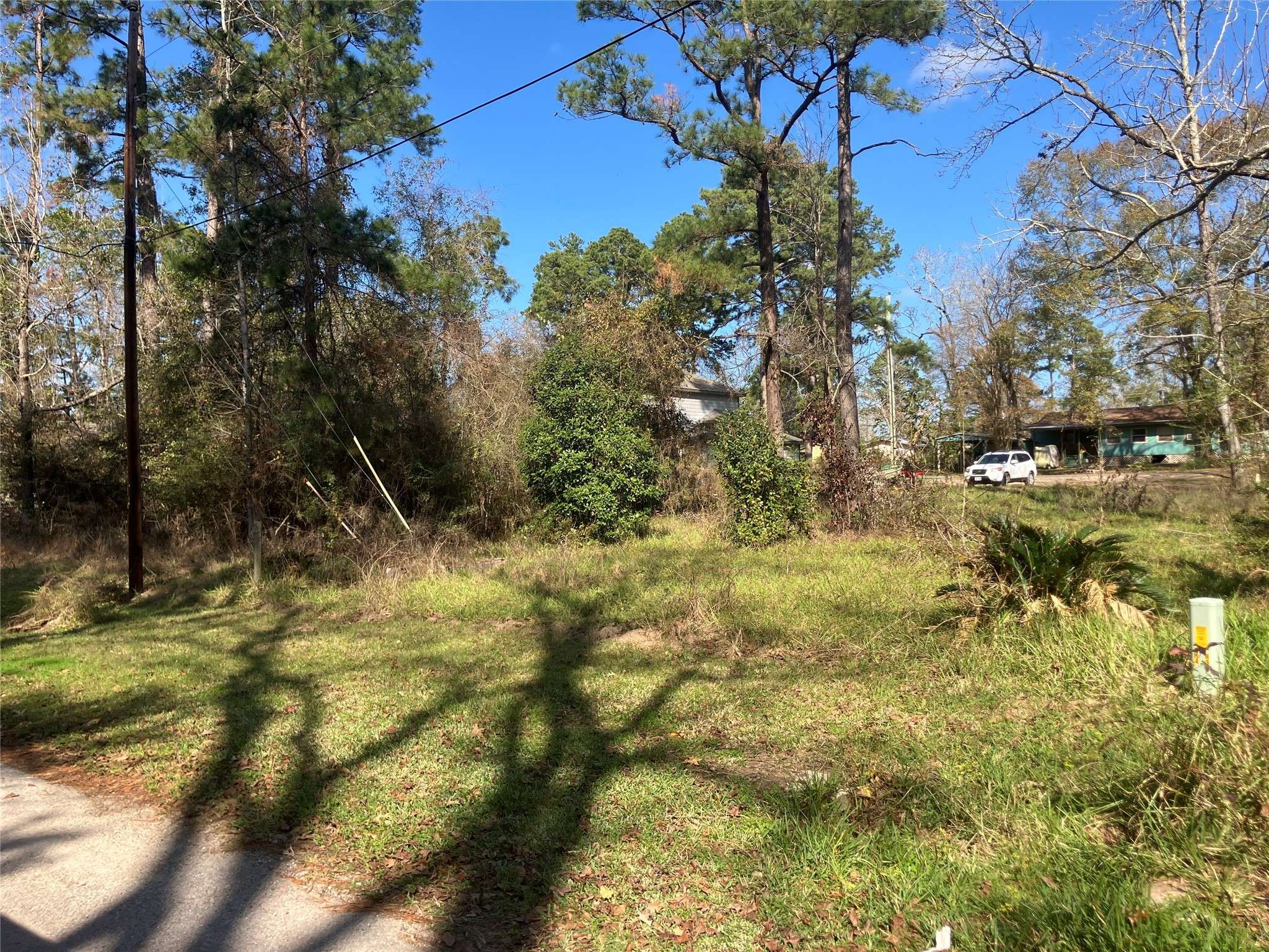 Livingston, TX 77351,171 Cherry Tree