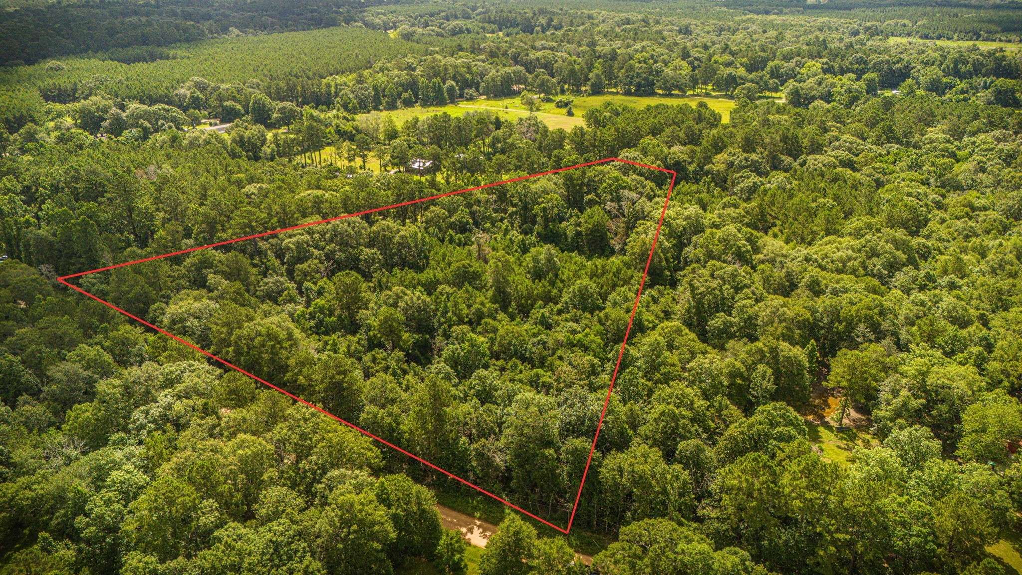 Livingston, TX 77351,279 Magnolia Wood DR
