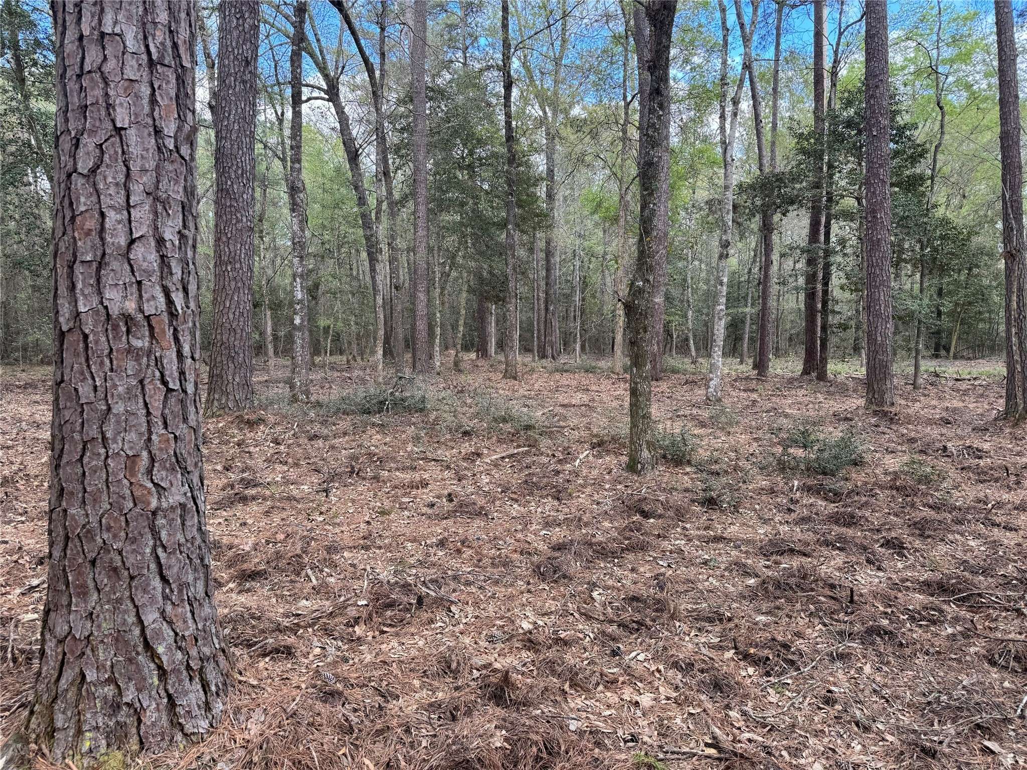 Dayton, TX 77535,0 County Road 2317