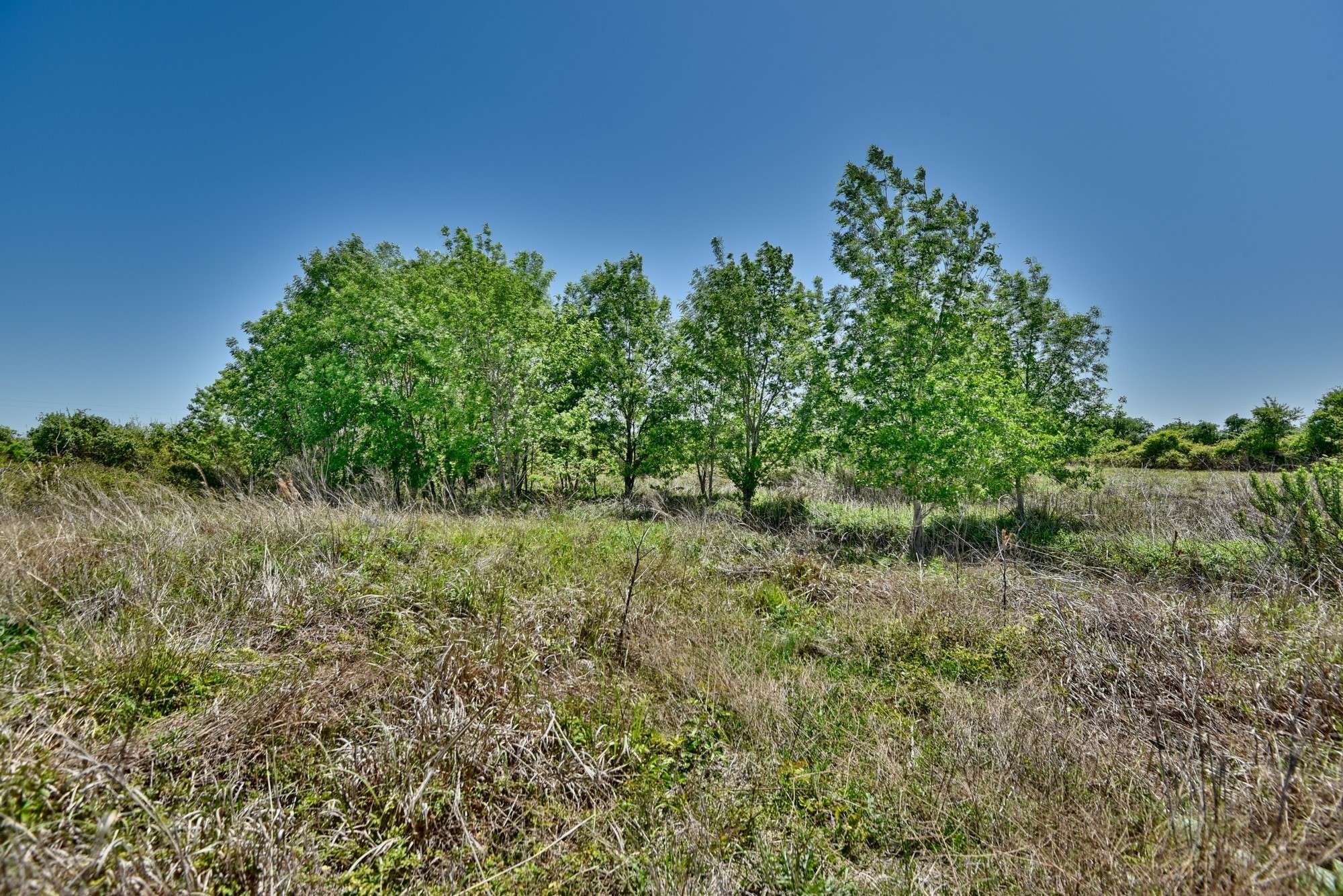 Muldoon, TX 78949,TBD Gebert RD