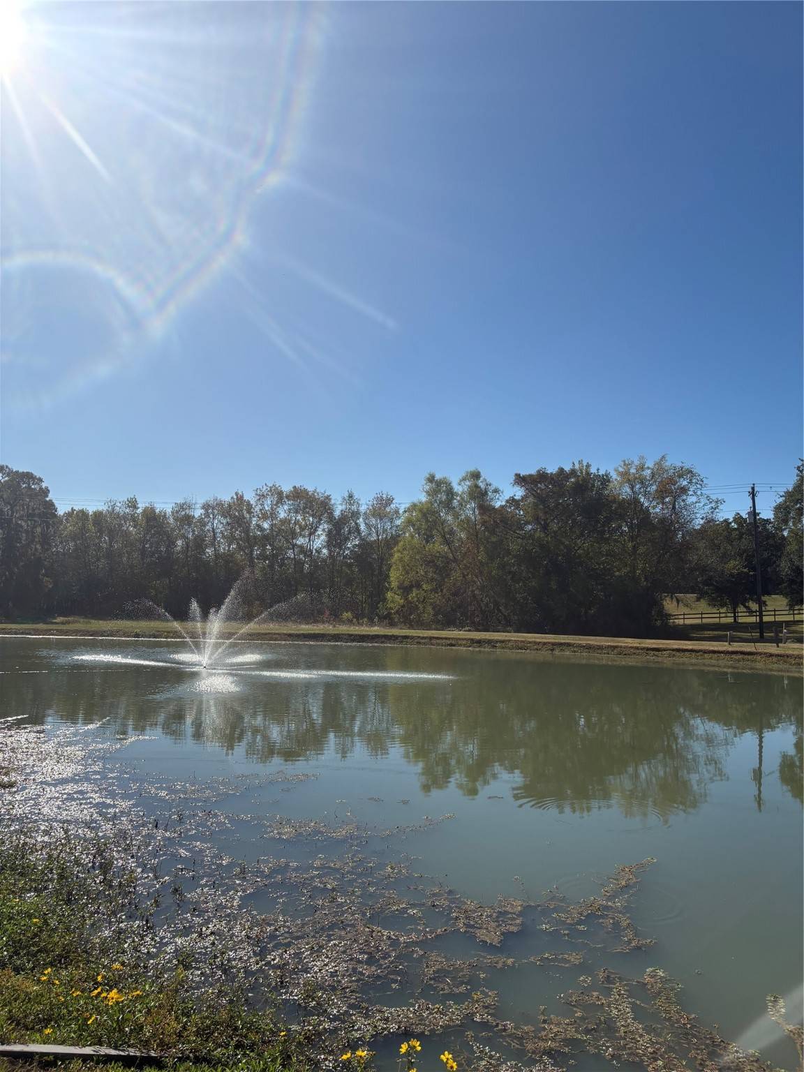 Cleveland, TX 77327,195 Center ST