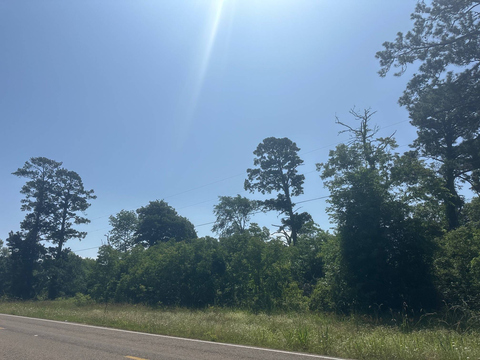Point Blank, TX 77364,Lot 10 & 11 Fm 980 S
