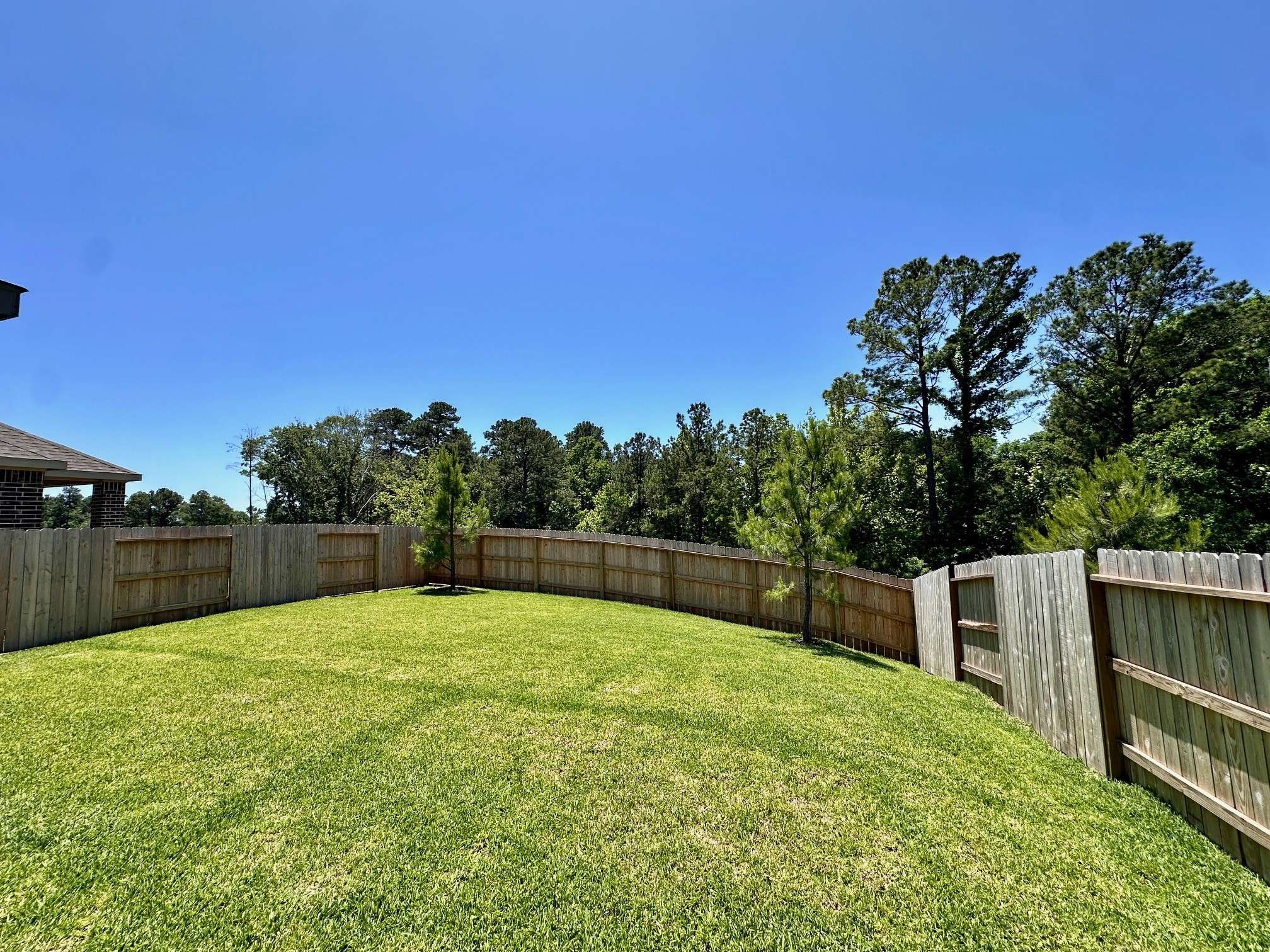 Conroe, TX 77304,6151 White Spruce DR