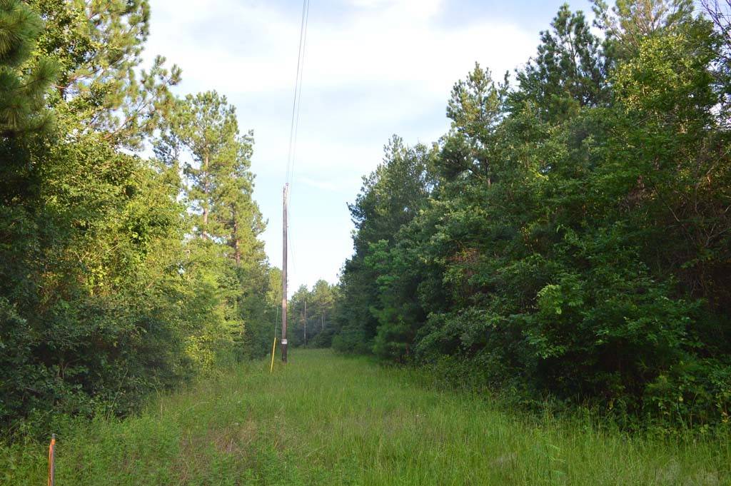 Anderson, TX 77830,10182 County Road 208