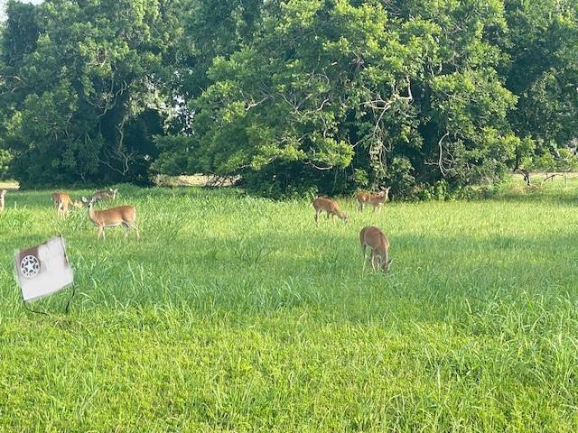 Angleton, TX 77515,178 Horse Shoe Trail