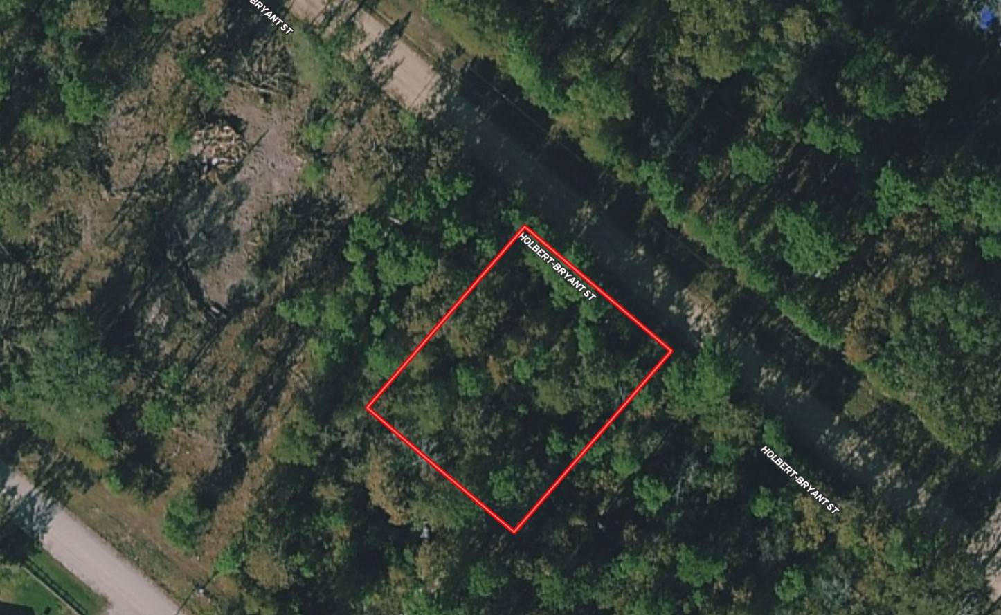 Livingston, TX 77351,Lot 172 Halbert Bryant ST