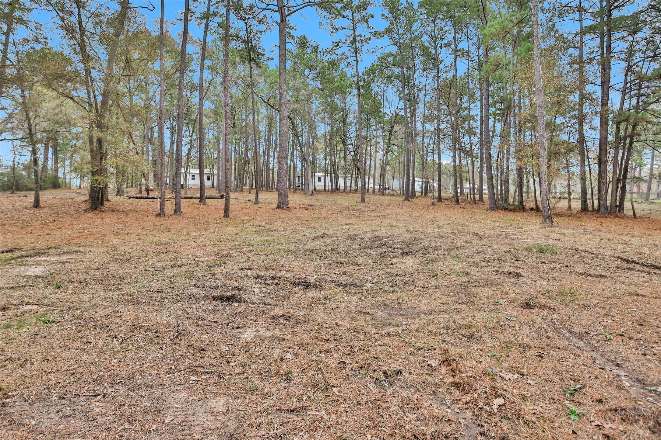 Navasota, TX 77868,4794 Tall Pine RD