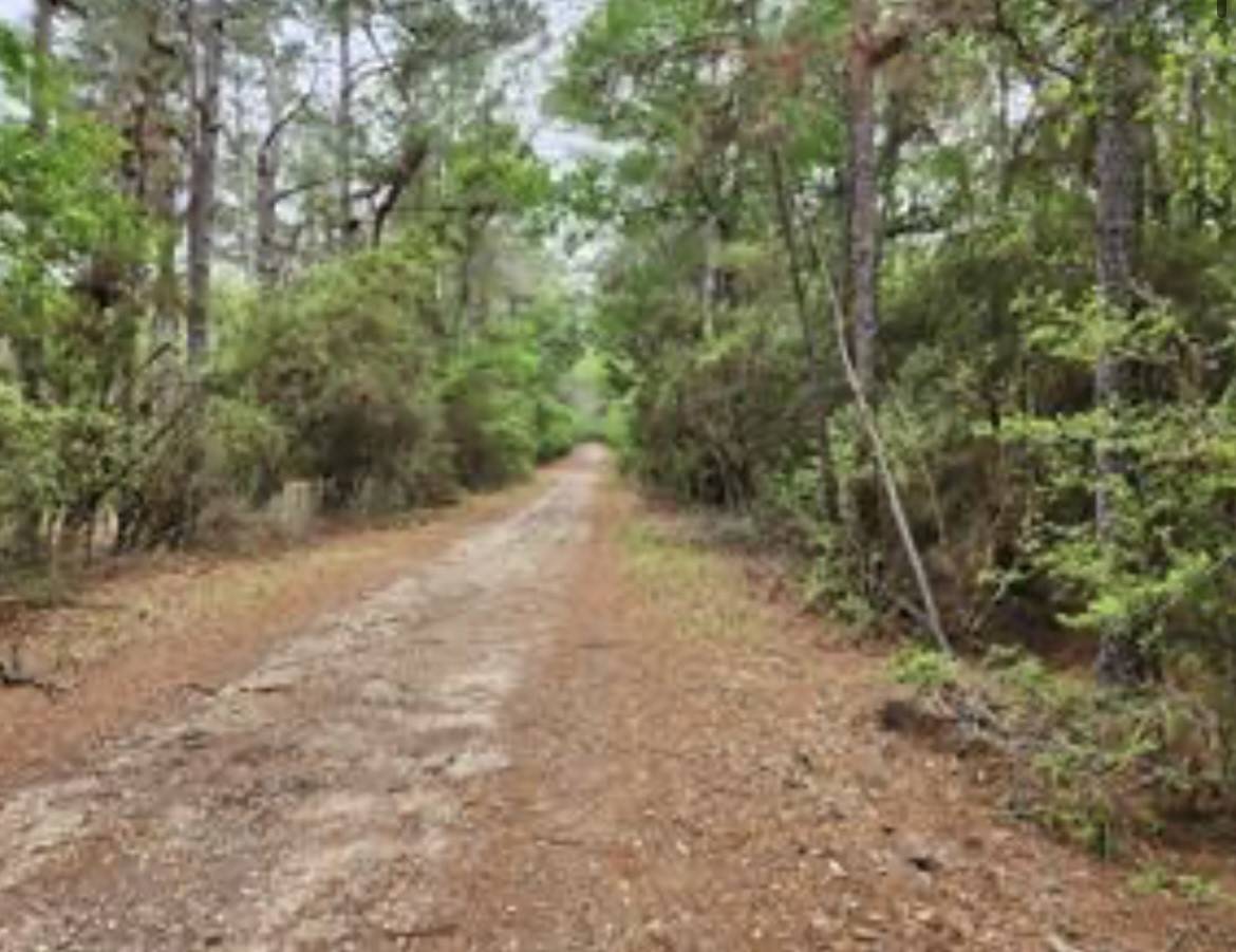 Hempstead, TX 77445,0 Sioux DR