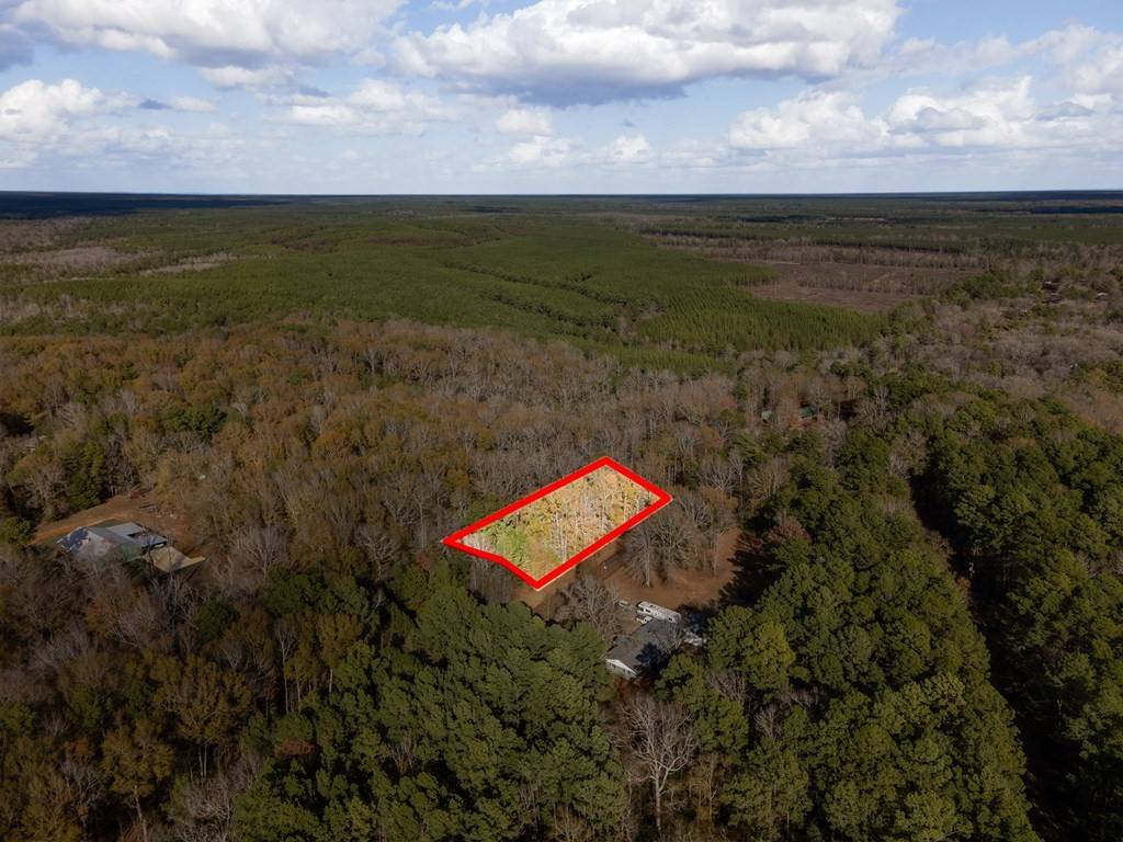 Etoile, TX 75944,1570 CR 559