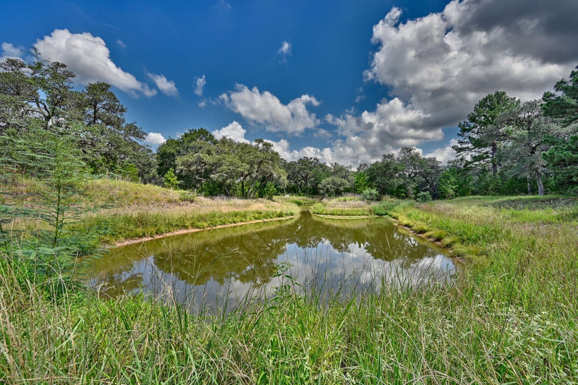 Hallettsville, TX 77964,1312 Private Road 1051