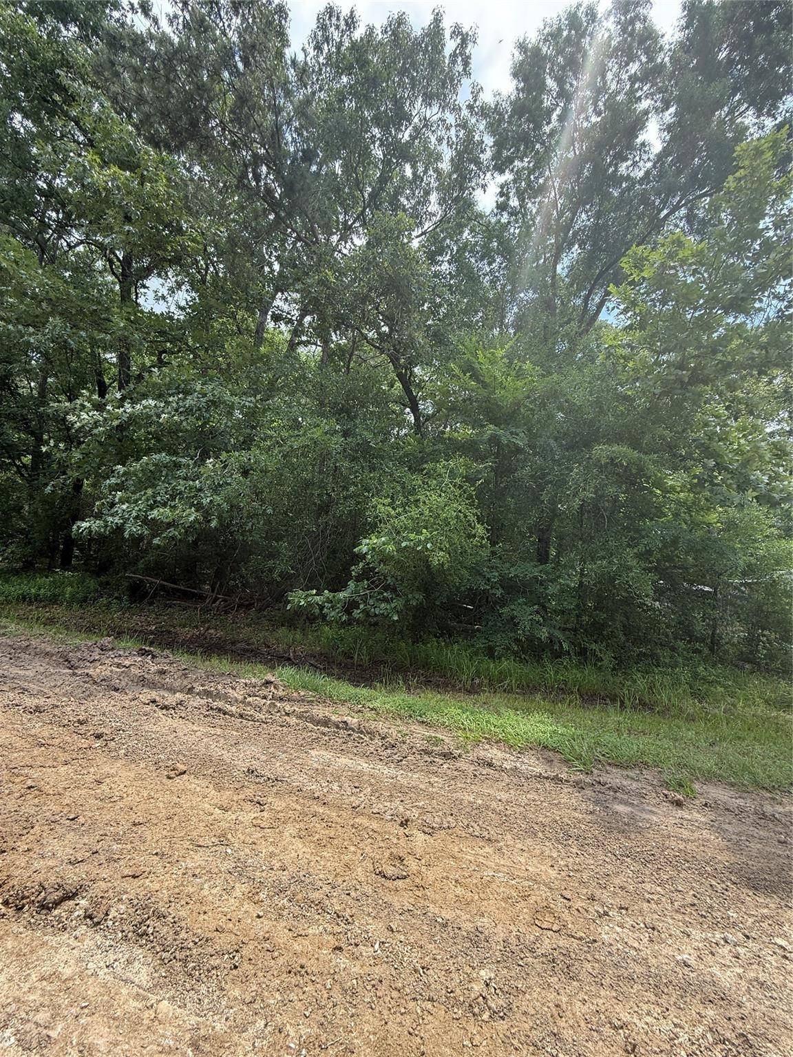 Livingston, TX 77351,N/A LAKE CREST