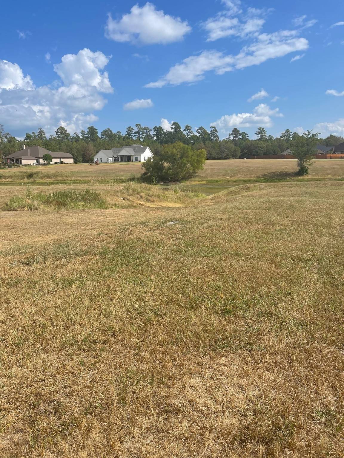 Montgomery, TX 77356,18803 Serene Water DR