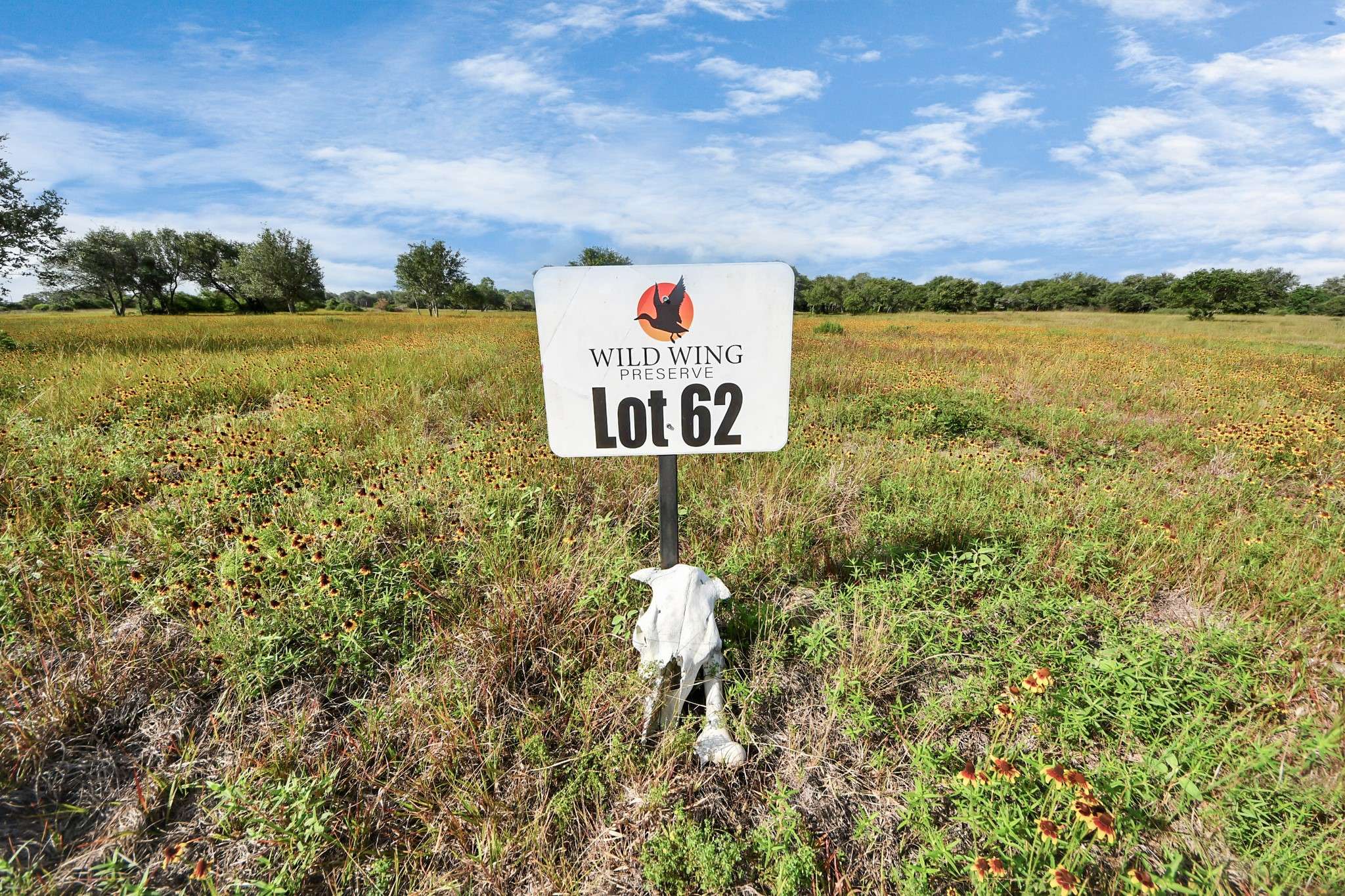 Columbus, TX 78934,TBD W lot 62 Gadwall LN