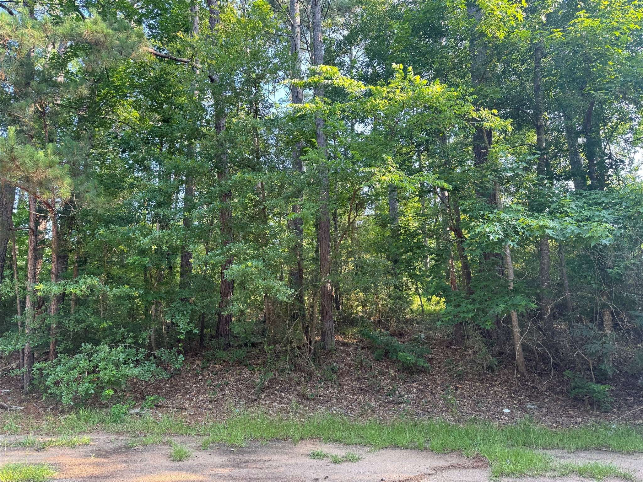 Coldspring, TX 77331,TBD Hidden CIR