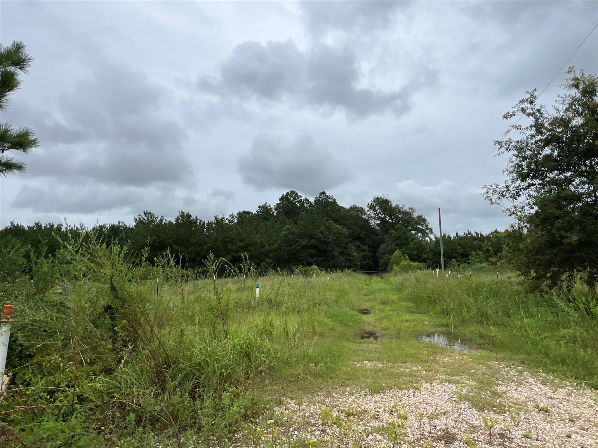 Cleveland, TX 77327,04 County Road 2204