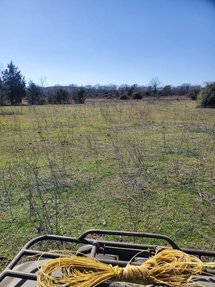 Plantersville, TX 77363,000 FM 1774