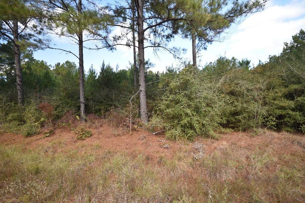 Trinity, TX 75862,0 Bo Brown RD