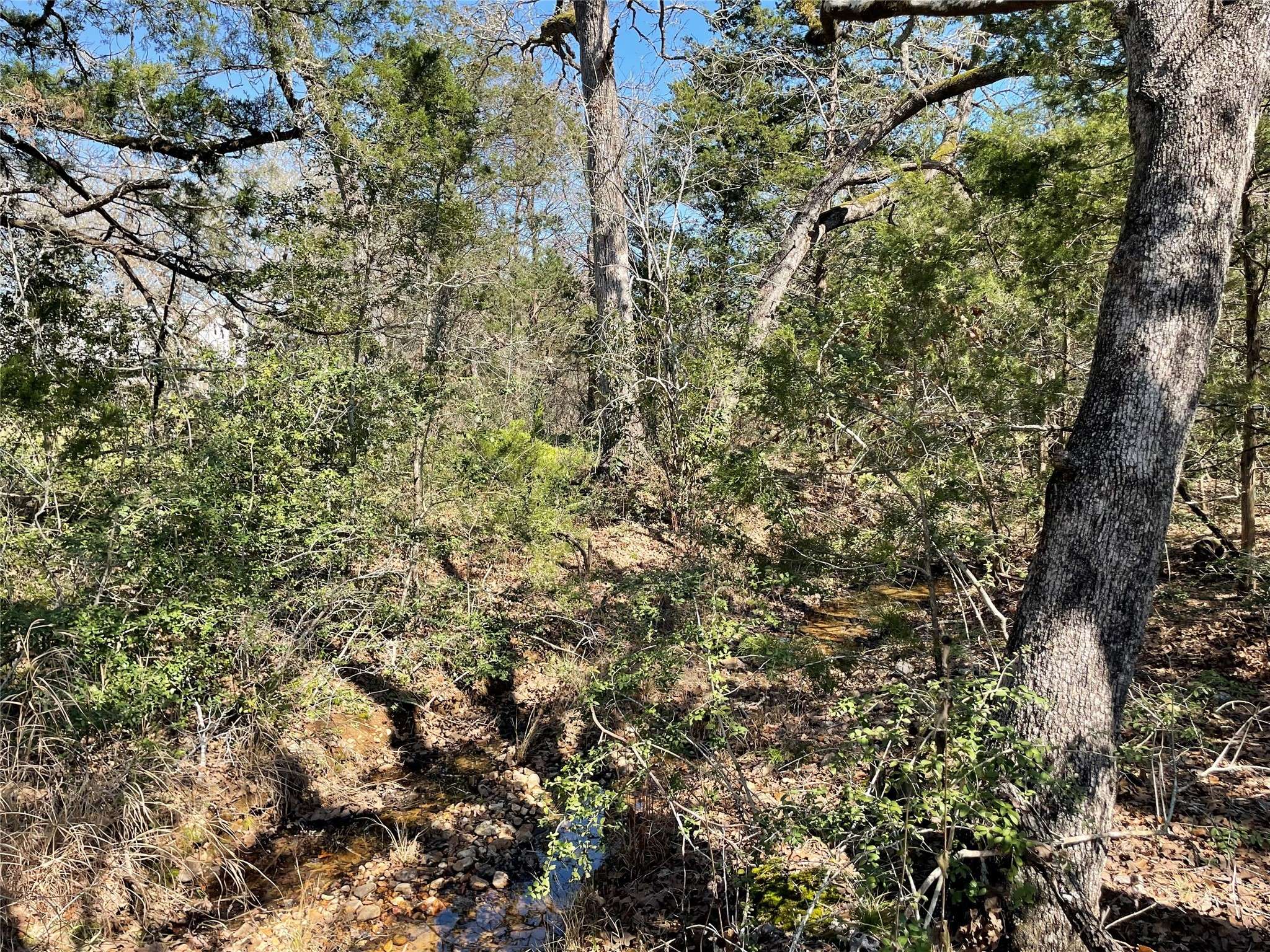 Smithville, TX 78957,354 & 355 Lots Navaho