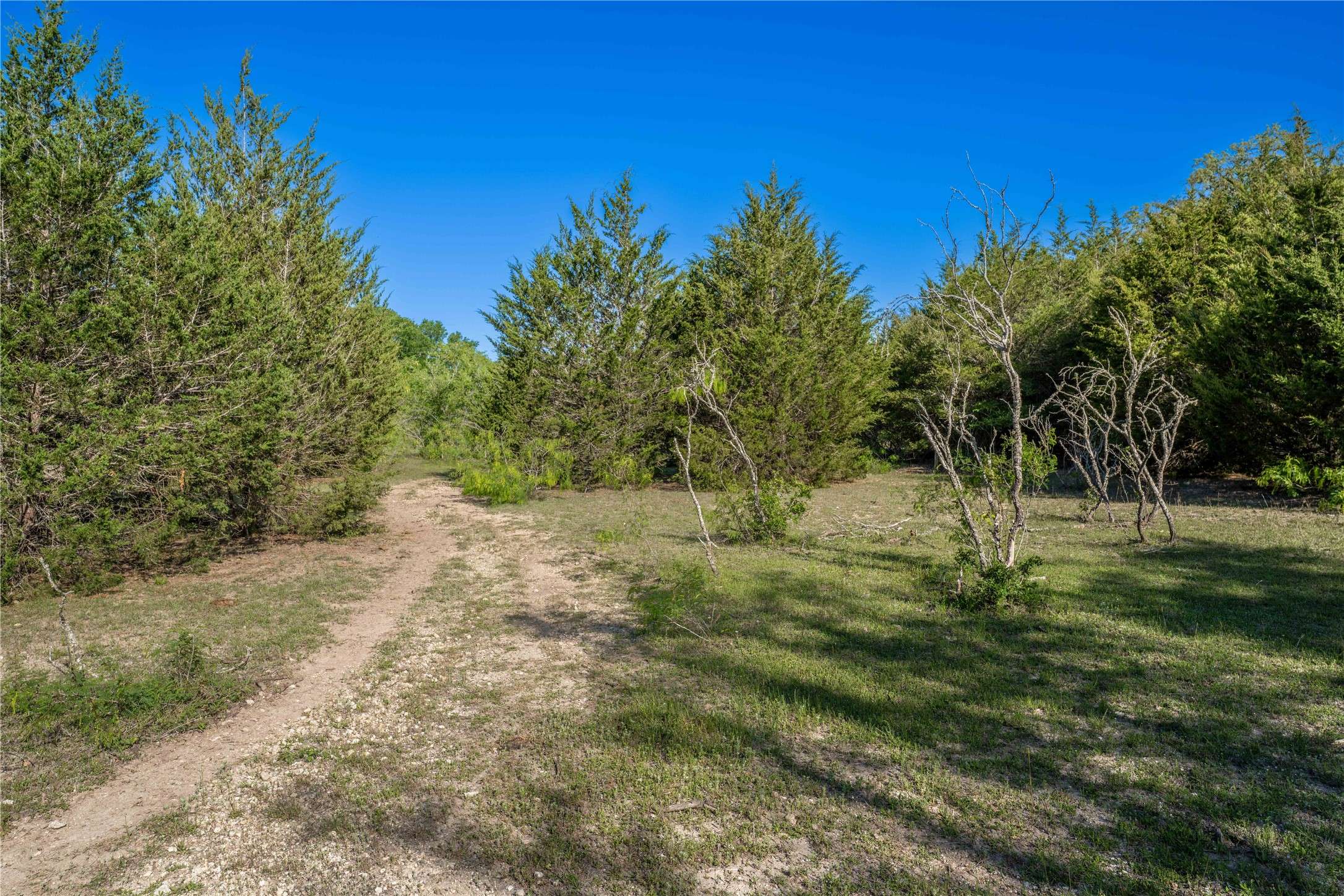 Burton, TX 77835,7150 Taplin LN