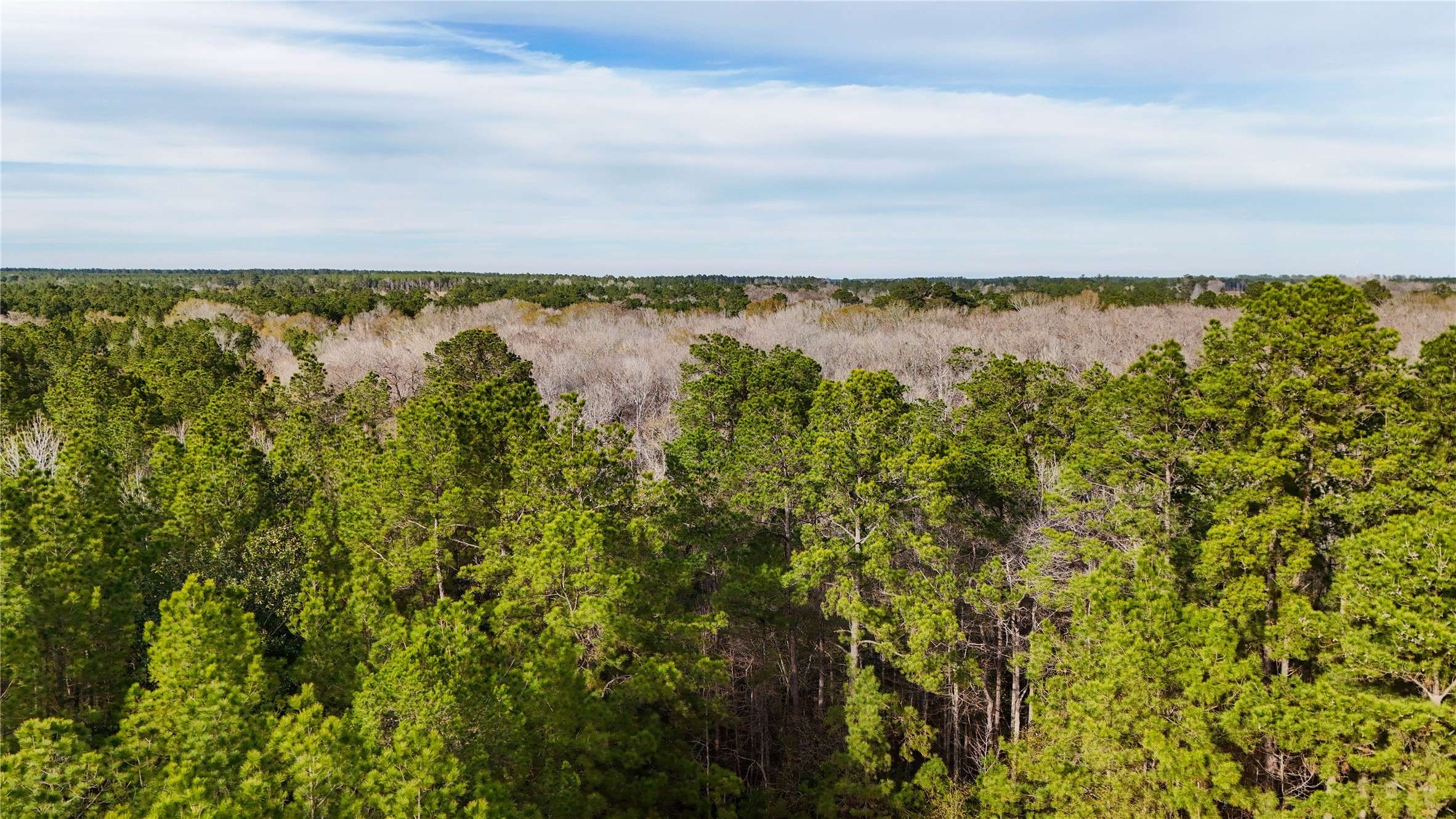 Warren, TX 77664,485 Private Road 5475