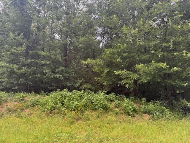 Livingston, TX 77351,TBD Deer TRL