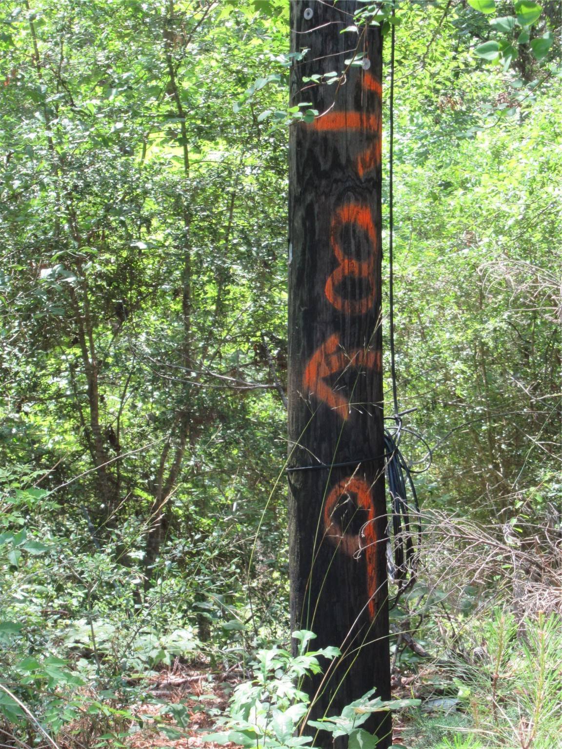 Livingston, TX 77351,361 Noel